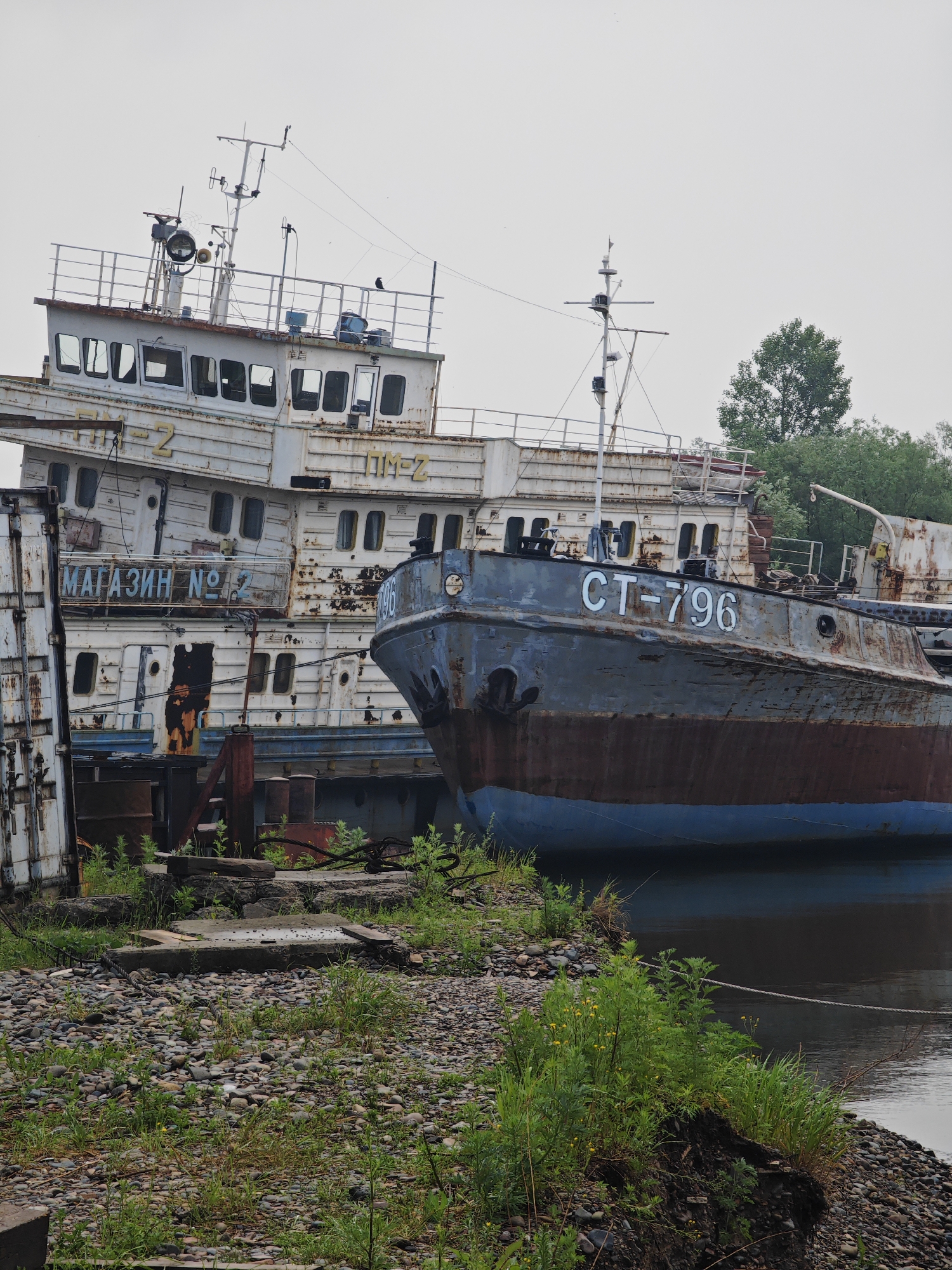 The image depicts a scene of industrial decay along the Yenisei River in Krasnoyarsk, Russia. Two rusty, abandoned ships are moored side-by-side in the water. The larger vessel, white with yellow lettering, bears the inscription "МАГАЗИН № 2" (Magazin No. 2). The bow of a smaller, blue and red ship, marked "СТ-796" (CT-796), is visible in the foreground, partially obscuring the larger ship. Both vessels show significant signs of rust and weathering. The riverbank is covered in rocks and overgrown with green vegetation, including small yellow wildflowers. In the background, trees and an overcast sky suggest a cool, possibly damp day. The overall impression is one of neglect and abandonment, a stark contrast to the natural beauty of the surrounding landscape.