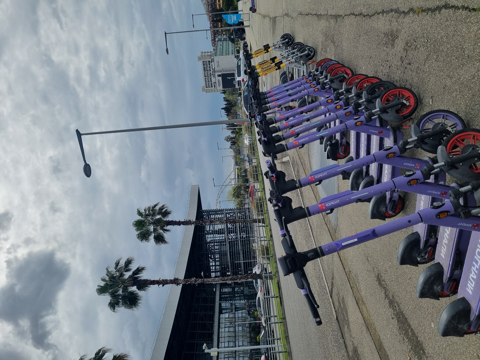 The image, viewed as if correctly oriented, displays a long line of purple electric scooters, primarily branded "ЮРЕНТ" (YURENT), neatly parked diagonally on an asphalt surface, suggesting a dedicated rental station. Further along the row, several yellow scooters with "WHOOSH" branding are also visible. The purple scooters feature red and black wheel hubs, and many are marked with "MTC" (a Russian telecom company) and the Cyrillic phrase "ПОГНАЛИ" (POGNALI - "Let's go!").
In the background, several tall palm trees are visible, indicative of a warm climate. Behind them stands a large, modern building with a facade of glass and metal structures, possibly an airport terminal or a large public facility. Other urban buildings and infrastructure are discernible in the distance, all beneath a cloudy, overcast sky. A white car is partially obscured behind the parked scooters. The scene depicts an urban setting in Sochi, Russia, showcasing micro-mobility services on a daytime with heavy cloud cover. No people are visible.
Visible text includes: "ЮРЕНТ", "WHOOSH", "MTC", "ПОГНАЛИ", "COSMO'S", "AR3062", "AR3060", "Fores", "НАЛИ", "CBET", and "OPEK".