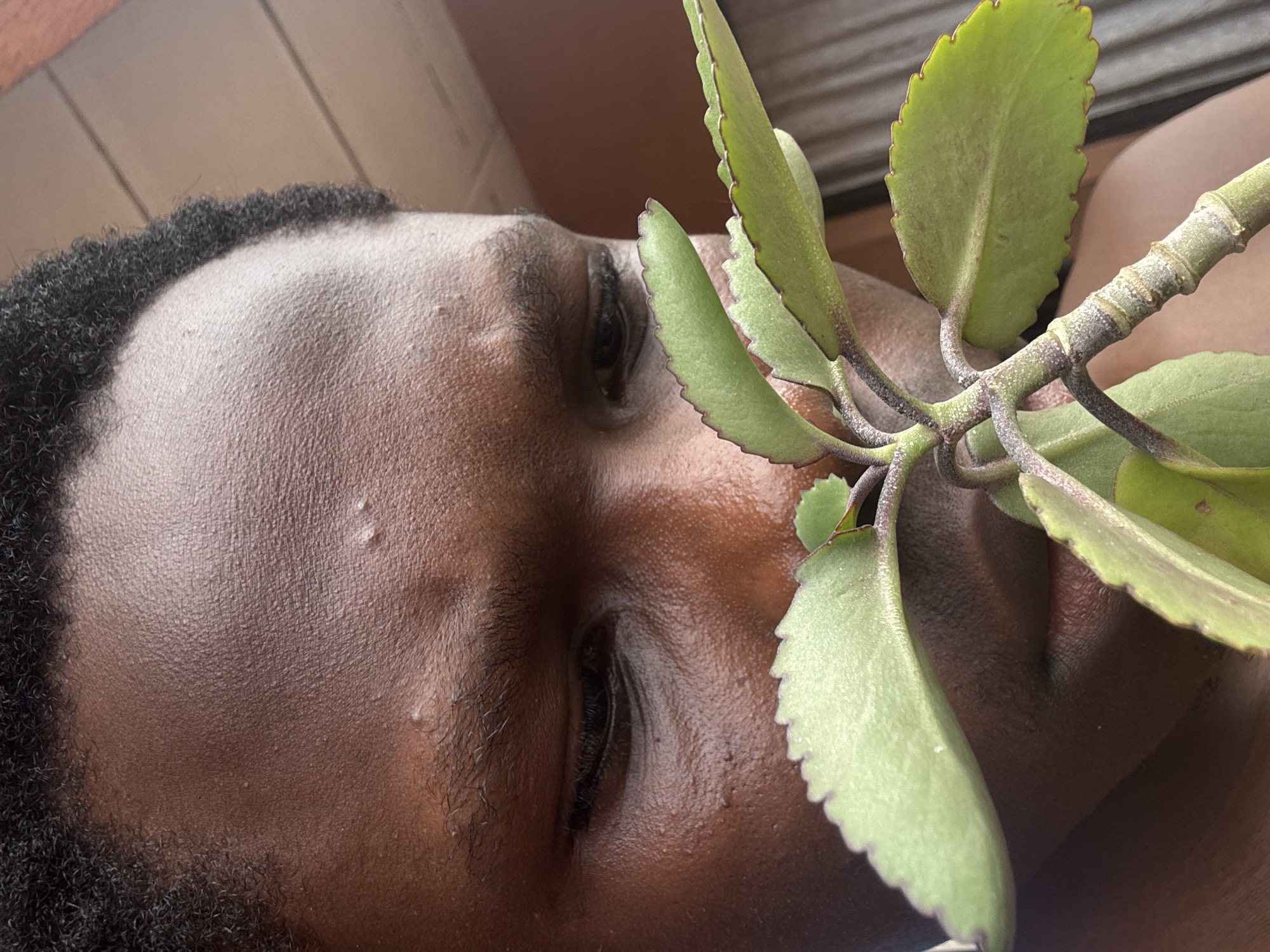 An eye-level, close-up shot of a Black man's face is presented from the side, partially obscured by a plant. The man has short, dark hair, and his eyes are partially closed. Two small bumps or blemishes are visible on his forehead, and his skin appears smooth. The plant, featuring several leaves with scalloped edges, partially covers his face, particularly around the nose and neck area. The background is blurred. There is no indication that this photo was taken in Onitsha, Nigeria.