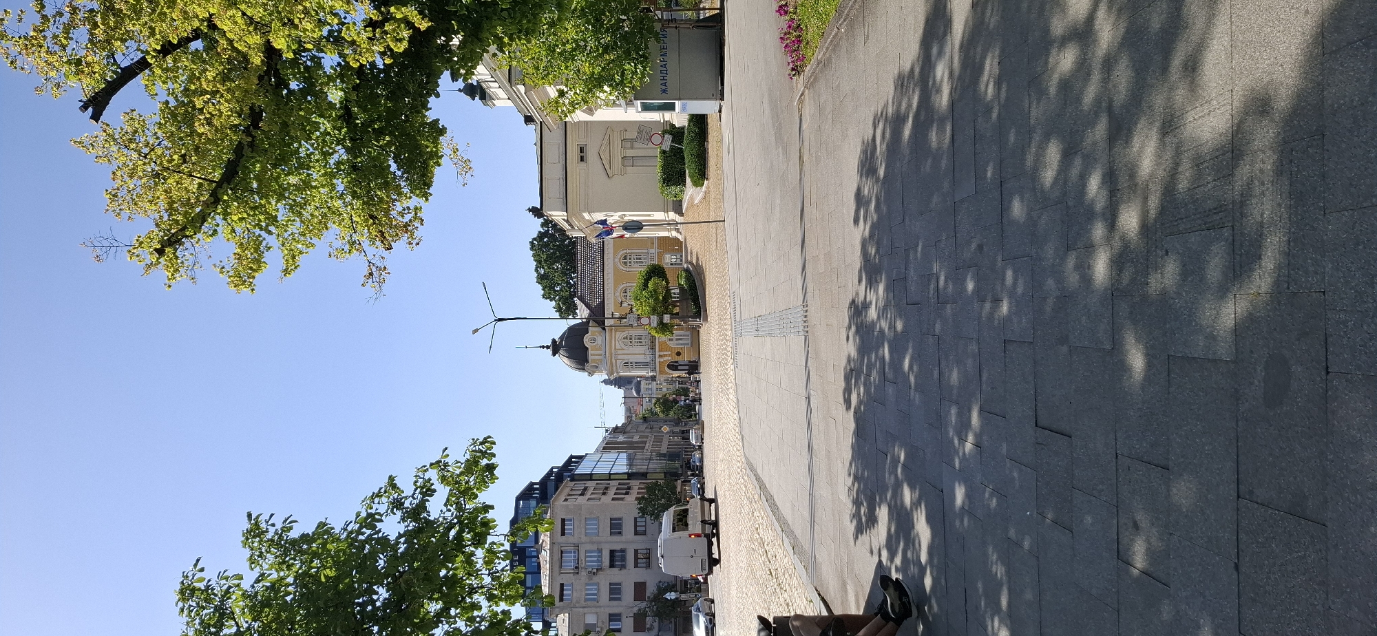 The image captures a street scene in Sofia, Bulgaria, likely near the National Assembly or a similar central administrative area, given the presence of a gendarmerie building and the architectural style. The foreground is dominated by a paved walkway with dappled sunlight and tree shadows, hinting at a sunny day. A person is partially visible sitting on the edge of what appears to be a bench or ledge on the left.
The mid-ground reveals a street with cobblestone paving, where a white van is driving away from the camera. Several other cars are also present on the street. Beyond the street, a distinct yellow building with a domed roof stands out, characteristic of historical architecture in Sofia. Adjacent to this is a lighter-colored, more modern building, identified by the text "ЖАНДАРМЕРИЯ" (Gendarmerie) on its facade. Two flags, one of which appears to be the French flag, are visible near the gendarmerie building.
The background shows a clear blue sky, indicating good weather. Tall trees with lush green foliage frame the top of the image, with one tree on the right having some branches that appear to have been trimmed. Modern buildings with glass facades are visible on the left side of the street, contrasting with the older architecture. The overall impression is a vibrant, urban environment with a mix of historical and contemporary structures.