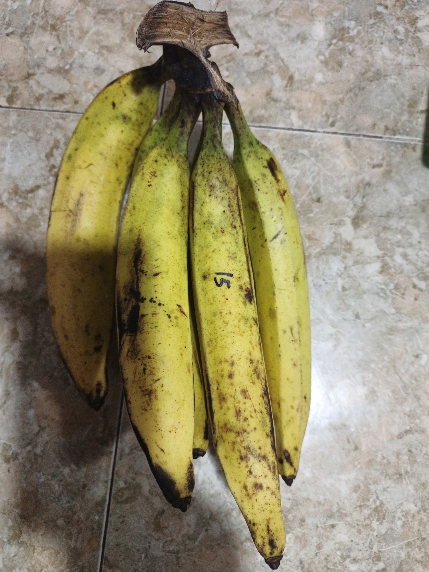 A bunch of five ripe yellow bananas with brown spots hangs from a dried stalk. One banana has the number "15" written on it in black marker. The bananas are suspended against a tiled floor with a marble pattern in varying shades of beige and brown. The lighting suggests an indoor setting.