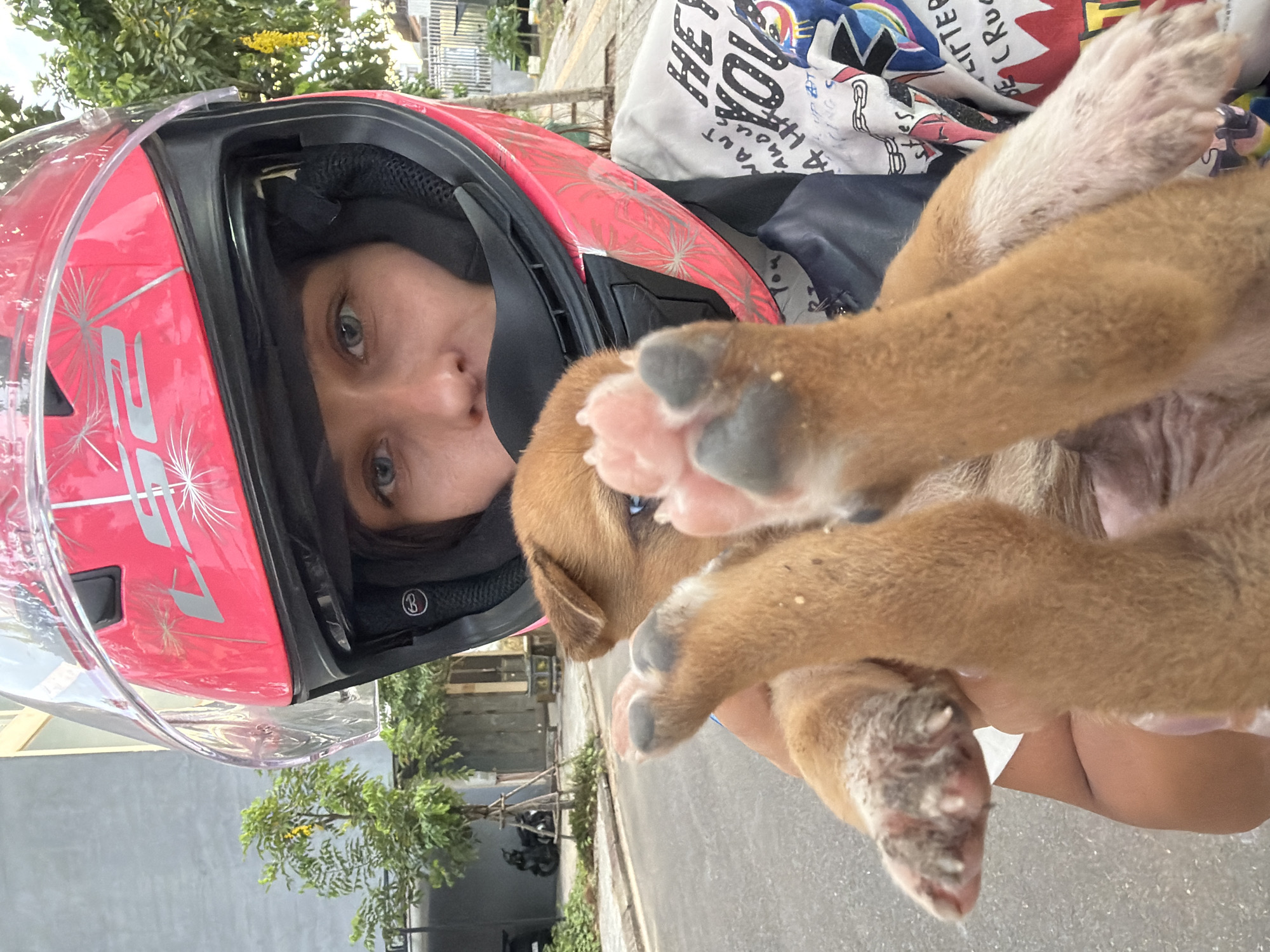 A young woman wearing a pink LS2 motorcycle helmet with a clear face shield is holding a small, light brown puppy. Her face is partially visible behind the helmet's chin guard, and she has blue eyes. The puppy's paws are held up towards the camera, with its pink paw pads clearly visible. The woman is wearing a white t-shirt with colorful graphics and text. The scene appears to be outdoors, on a street in Đà Nẵng, Vietnam, with a grey building and greenery visible in the background. A motorcycle is parked on the side of the road. The lighting suggests it is daytime, possibly late afternoon.