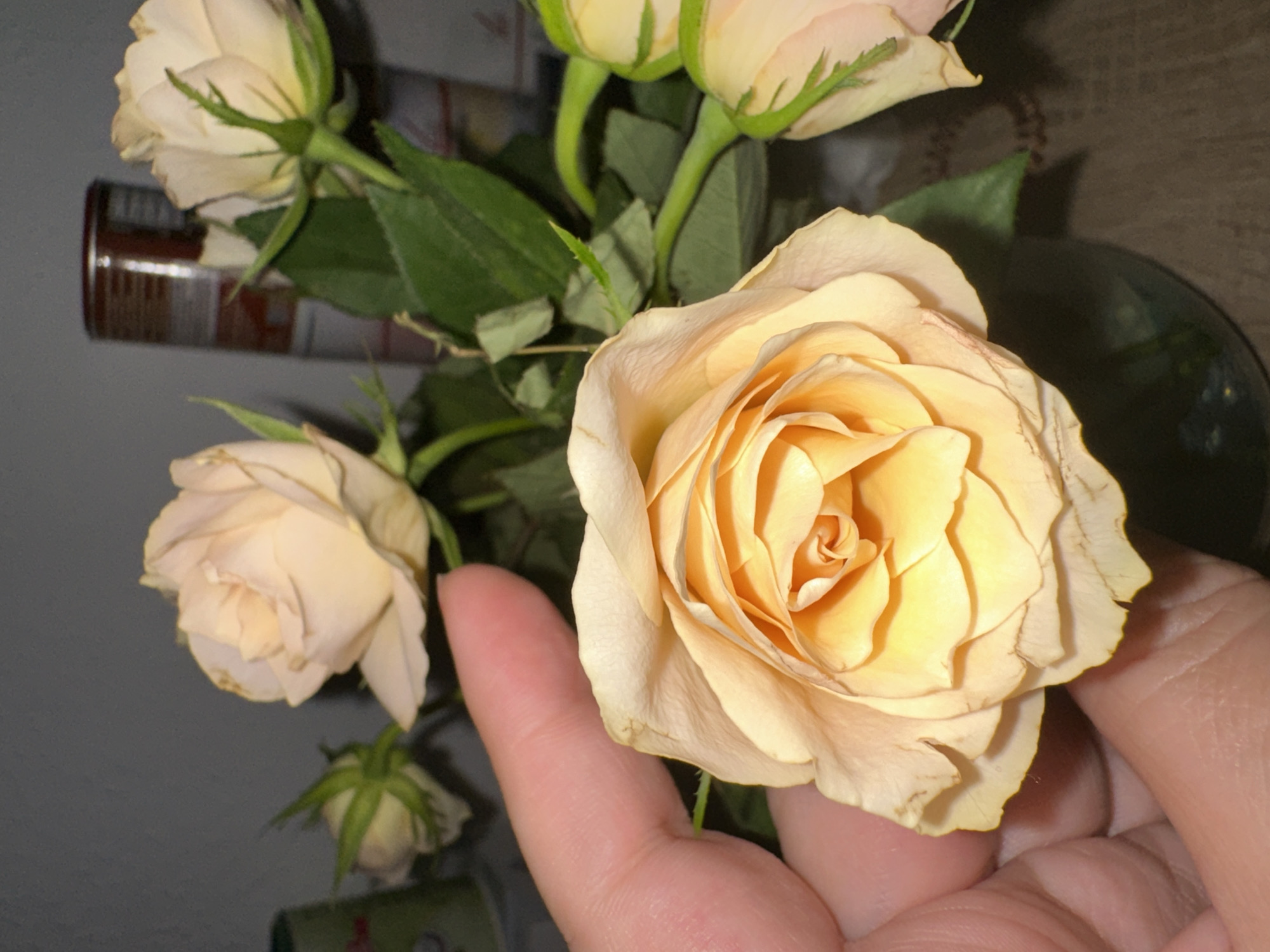 A close-up shot shows a bouquet of pale yellow roses in a dark green vase. The roses are in various stages of bloom, with some fully open and others still in bud. A human hand, with fair skin, is visible in the foreground, gently touching one of the fully bloomed roses. The background is dark and blurred, with hints of a tall, cylindrical object that appears to be a can. The overall lighting is dim, casting soft shadows on the petals and leaves. The scene is indoors, suggesting a domestic setting.
