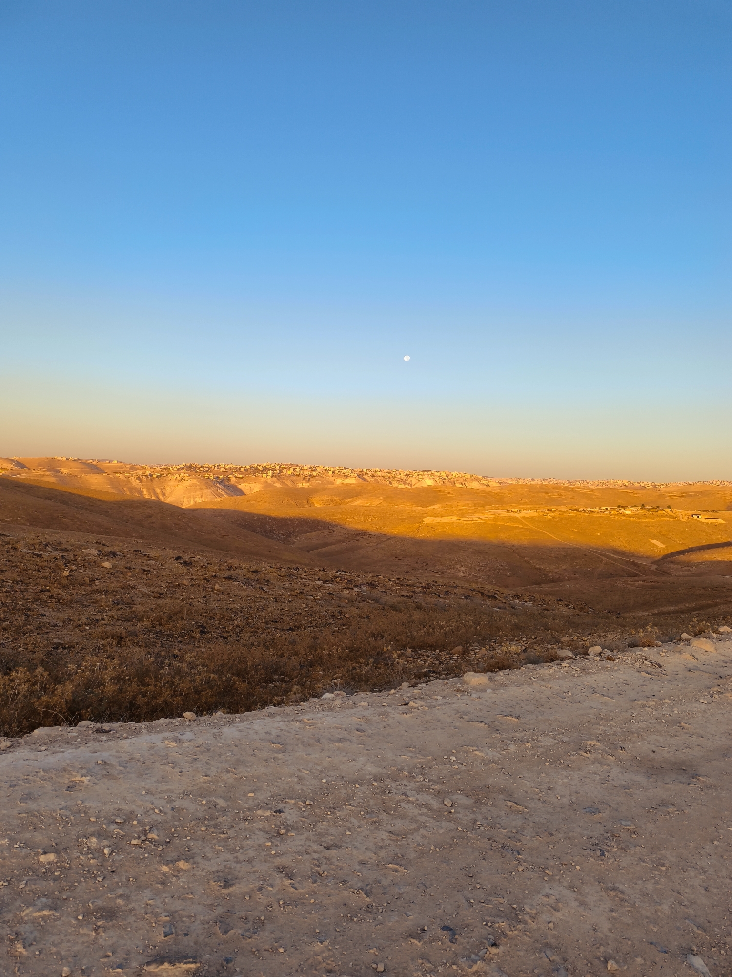 The image depicts a vast, arid landscape under a clear blue sky. In the distance, a settlement is visible on a hill, bathed in the warm, golden light of what appears to be sunset or sunrise. The foreground consists of a dirt path and dry, sparse vegetation. The overall impression is one of a remote, possibly rural, location within the Palestinian Territories. There are no people or animals visible in the frame.