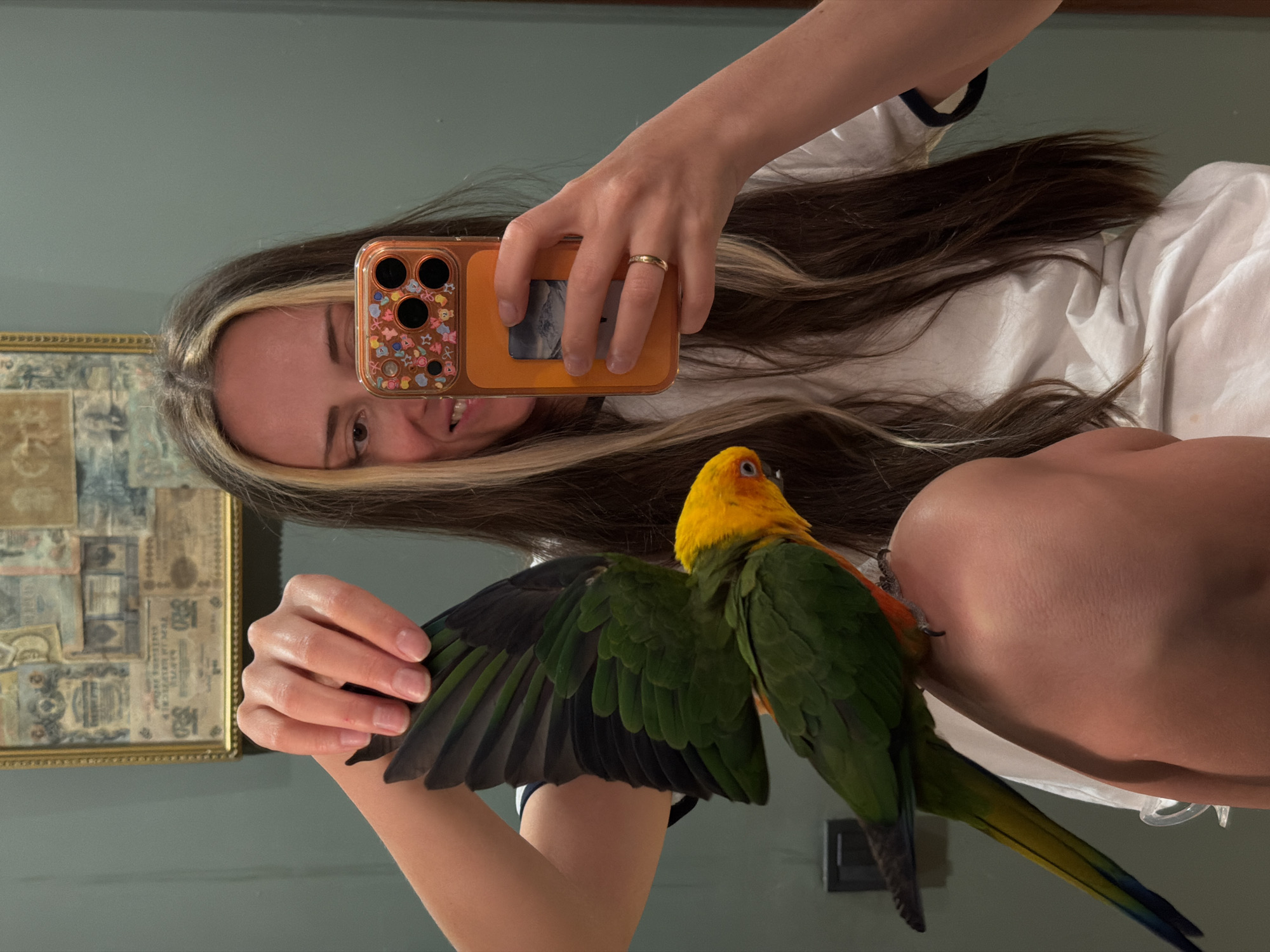 The image captures a mirror selfie of a young woman with her pet parrot in an indoor setting, likely a home in Khimki, Russia. The woman, with long, dark brown hair streaked with lighter highlights, smiles broadly, revealing her teeth. She wears a white top and a simple gold band on her left ring finger.
She holds an orange smartphone in her left hand, which is encased in a clear cover adorned with small, colorful cartoon characters such as bears and hearts. The phone's screen reflects her smiling face. Perched on her right arm or shoulder is a vibrant parrot, likely a Sun Conure or similar species, characterized by its bright yellow head, green body, and hints of orange and red feathers. One of the parrot's wings is slightly extended, showcasing its dark green and black flight feathers.
The background, visible as a reflection in the mirror, features a wall painted in a muted blue-green shade. To the left, a framed piece of artwork or an old collage with a gold frame hangs on the wall, displaying faint, illegible script and patterns that resemble historical documents. The overall atmosphere conveyed is cheerful and domestic, depicting a moment of companionship between the woman and her pet.