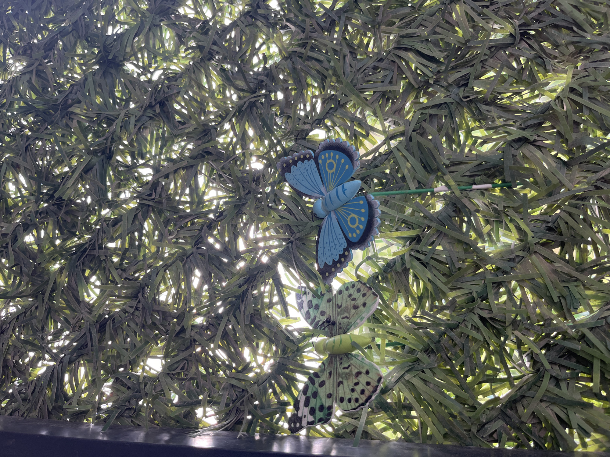 Two artificial butterflies, one blue and one green, are attached to an artificial green leafy screen. The screen appears to be made of thin, dark green, ribbon-like strips. The image is taken from below, looking up. The background consists of diffused light shining through the screen. A dark, possibly black, horizontal surface is visible at the bottom of the image. The location in Varna, Bulgaria, cannot be determined from the image.