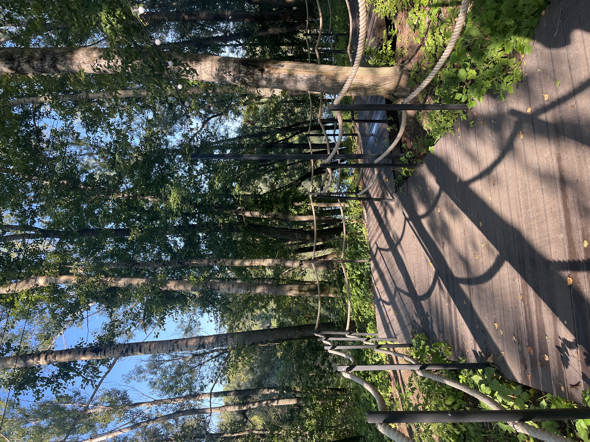 The image depicts a wooden walkway with rope railings winding through a sun-dappled forest. Tall trees with light-colored bark and dense green foliage surround the walkway, casting shadows on the wooden planks. In the background, a body of water is visible, reflecting the surrounding trees and sky. String lights are visible hanging between the trees in the background. The scene appears to be a natural setting within a park or nature reserve. The specific location in Ufa, Russia is not determinable from the image alone.
