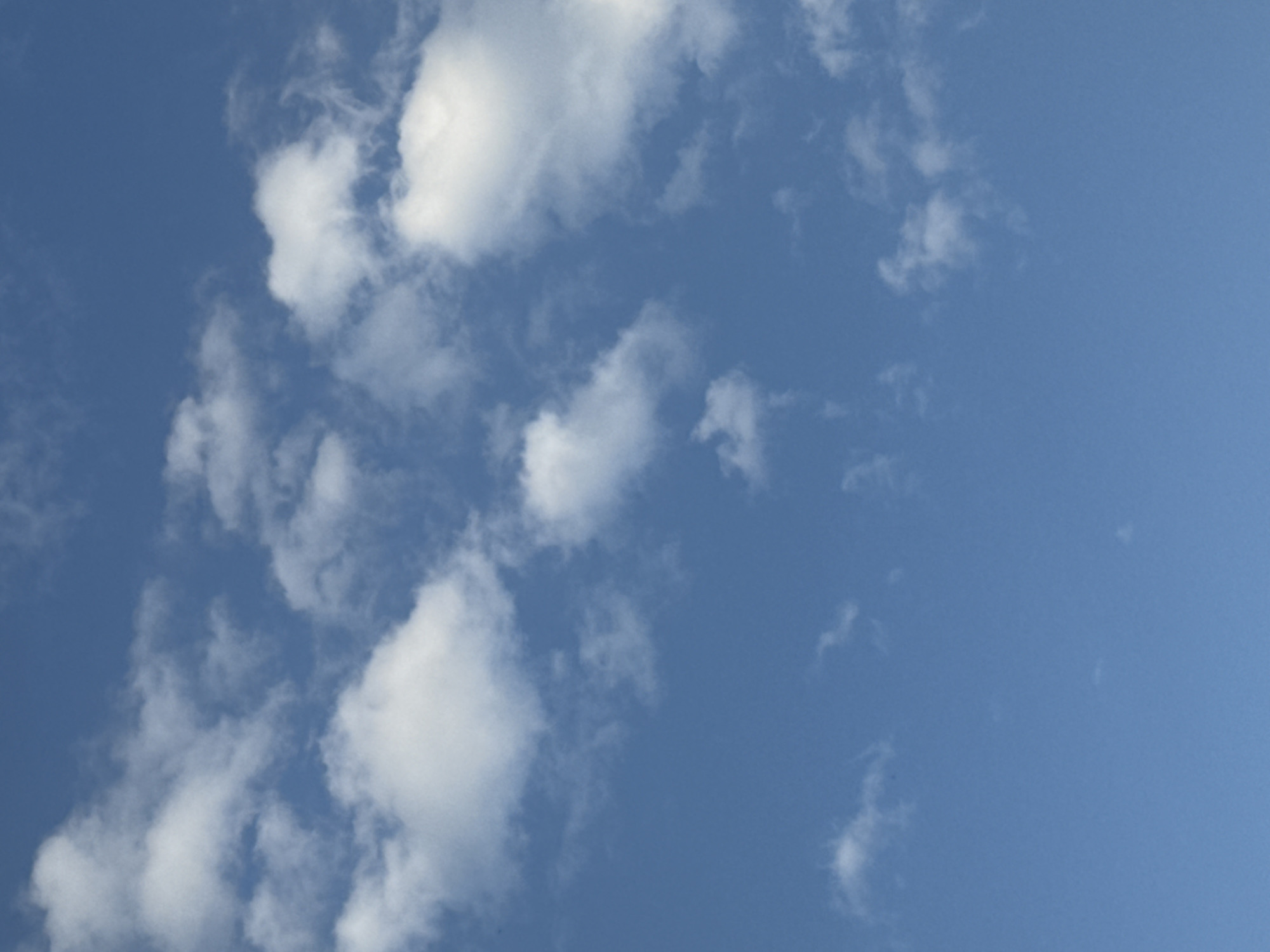 The image presents a serene sky scene over Kalekovets, Bulgaria, dominated by a vibrant blue expanse dotted with scattered white clouds. The primary subjects are these clouds, which exhibit varying forms and densities; some appear as fluffy, well-defined cumulus formations, while others are more diffuse and wispy. The clouds are predominantly clustered along the left side of the frame, extending towards the center, with the upper right portion of the sky remaining clear blue. No people, artificial objects, or specific landscape features are visible within the frame.
The scene captures a clear and sunny daytime, likely morning or afternoon, indicated by the bright blue hue of the sky and the illuminated white clouds. The weather appears fair and pleasant, with good visibility. There is no specific activity or event taking place; the image is a static portrayal of natural cloud formations. No text or any other identifiable markings are present in the photograph.