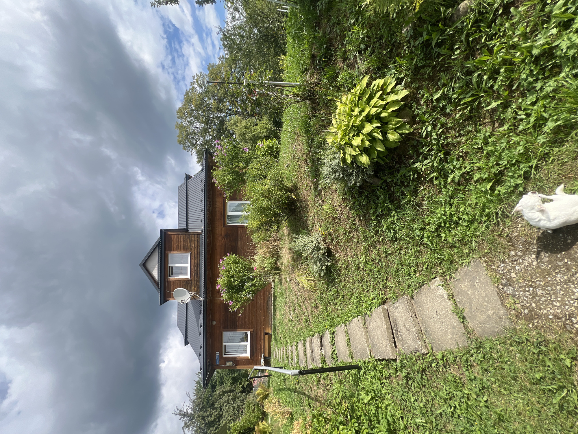 A wooden house with a dark metal roof is situated on a grassy slope. A stone pathway with a metal handrail leads up to the house from the lower left of the frame. Various plants and trees surround the property. The sky is cloudy with patches of blue. A white dog is partially visible in the lower right corner of the image. The house features white-framed windows and a satellite dish mounted on the upper section. A street sign with Cyrillic lettering and the number "3" is affixed to the side of the house. The scene appears to be a residential property in Yaremche, Ukraine.
