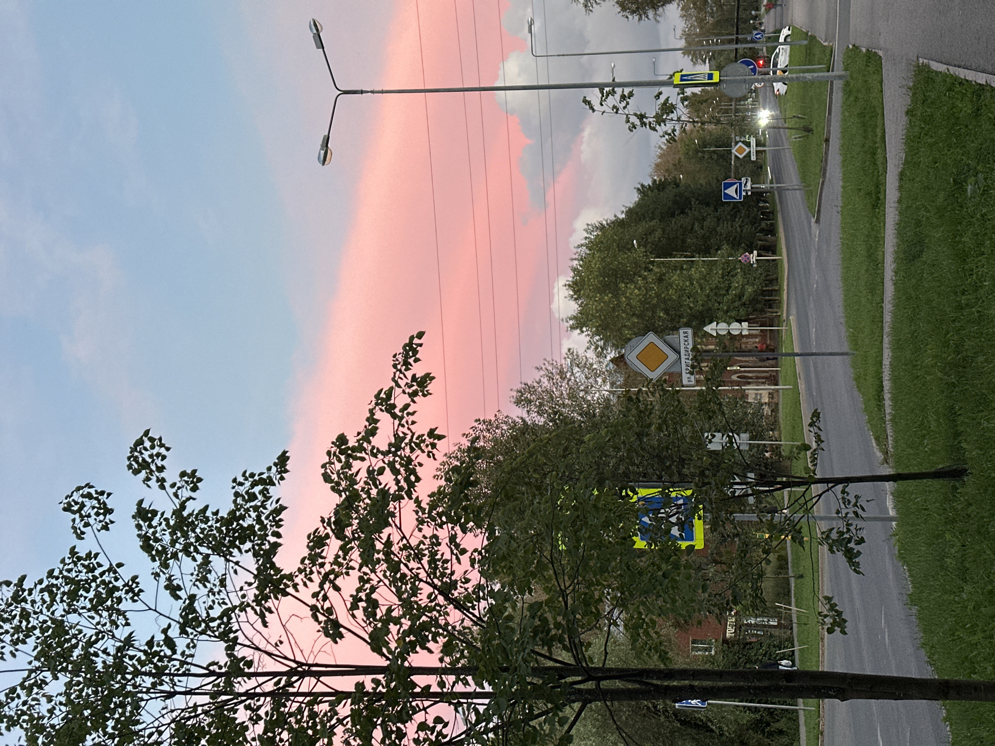 The image depicts a street scene at dusk in Perm, Russia, with a vibrant pink and blue sky. A tree with green leaves stands prominently in the foreground on the left side of the frame. The street is paved and appears to be an intersection, with traffic lights, road signs, and street lamps visible. Several trees line the street, and there are buildings in the background. Green grass covers the median and the sides of the road. There are a few cars visible, one white car with its headlights on. A few pedestrians are also present, walking on the sidewalk or crossing the street. The road signs are predominantly yellow and blue, indicating traffic regulations. The overall atmosphere is calm and peaceful, with the colorful sky adding a dramatic element to the urban landscape.