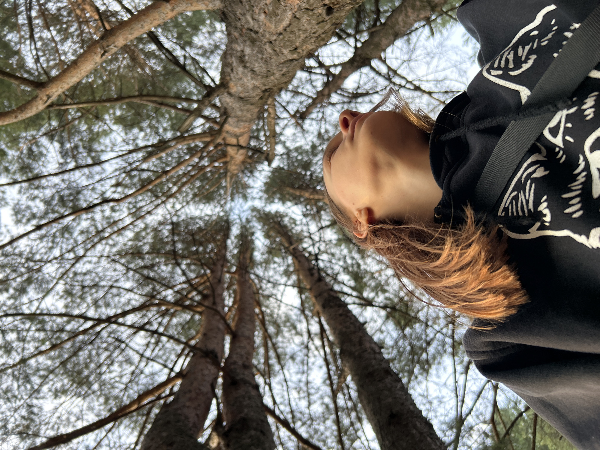 The image is an extreme low-angle shot looking up at a person's face and body against a backdrop of tall trees and a cloudy sky. The subject, a young person, is positioned in the right half of the frame, with their head tilted back and eyes looking upwards. They have light brown hair and are wearing a black hooded sweatshirt with a white graphic design on the sleeve. The sweatshirt has a drawstring detail. The person's face is illuminated, suggesting they are outdoors during the day.
The setting is a forest, with the trunks of several pine trees prominently featured, reaching towards the sky. The branches and needles of the trees create a dense canopy, with the sky visible through the gaps. The lighting is soft, indicating either an overcast day or the late afternoon/early morning. The overall mood appears contemplative or curious, as the subject gazes upwards into the trees. There is no visible text in the image. The context provided, Chaikovsky, Russia, suggests a possible location in a forested area of that region.