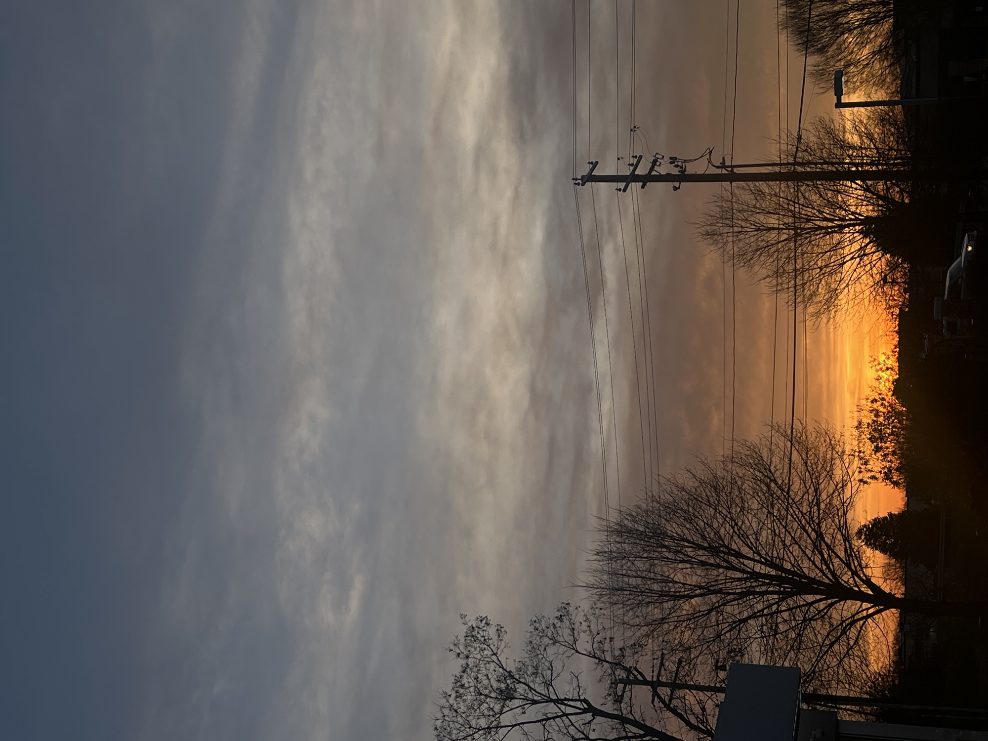 The image shows a sunset in an urban environment. Silhouetted trees and a utility pole with wires are prominent in the foreground. The sky transitions from a pale, cloud-filled grey on the left to a vivid orange and yellow near the horizon on the right. The sun appears to be setting just behind the tree line on the right. The location is likely in the City of Newburgh, United States of America, as specified in the prompt.