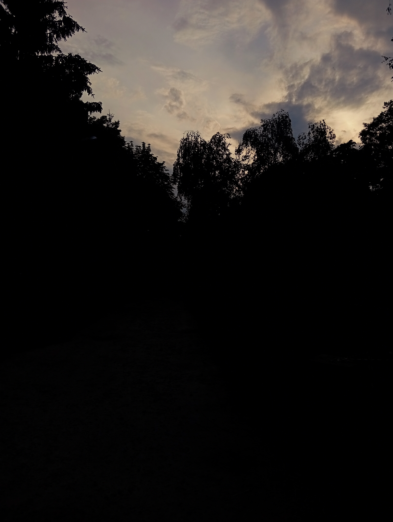 The image displays an outdoor scene under low light conditions, characterized by a sharp contrast between the sky and a dark, silhouetted foreground.
The upper portion of the frame reveals a sky filled with clouds of varying densities and shapes. The sky exhibits a gradient of colors, including dark grey, lighter grey, and subtle hues of pale beige, yellow, and faint pinkish-orange, indicating ambient light filtering through the cloud cover. Cloud formations are irregular, with some appearing wispy and others more substantial and textured.
A dense treeline forms a prominent dark silhouette across the middle ground, obscuring any details of the landscape below. On the left side, coniferous trees with their characteristic spiky profiles are discernible. Towards the center and right, deciduous trees with softer, more rounded canopies and some drooping branches are visible. A small, illuminated, pale oval object, consistent with a street light, is partially visible within the tree silhouette on the left-central side.
The lower two-thirds of the image is an undifferentiated mass of black, representing the ground level and the lower sections of the trees. This area is devoid of any discernible details, subjects, or specific actions.
No human figures or identifiable animal subjects are present in the image. The scene is situated in the city of Poltava, Ukraine.