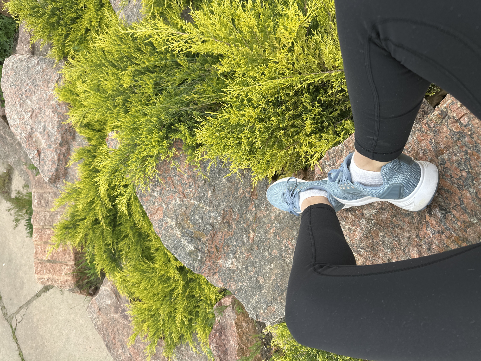 A close-up, eye-level shot depicts a person standing on a rock formation adjacent to a patch of vibrant green shrubs. The individual is wearing black leggings, white socks, and light blue and white athletic shoes. The foreground includes the person's legs and shoes, which rest on a reddish-brown granite rock. To the left, a dense cluster of yellowish-green juniper or cypress shrubs spills over another rock. A paved walkway can be seen in the distance, to the bottom left of the image. The image shows a corner with some concrete and the edge of green grass on the left, the center with a rock formation that is covered in juniper or cypress shrubs and the feet of a person in leggings and sneakers standing on the rock formation. Zakharivka, Ukraine is not discernible from the image.