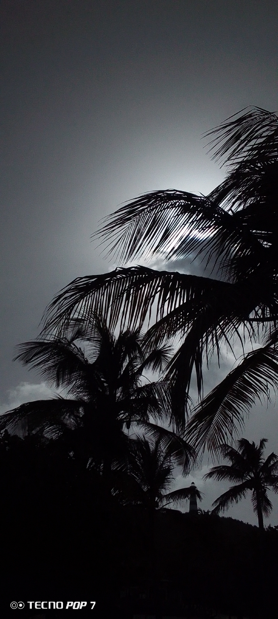 The black and white photograph depicts a scene in Pedro González, Venezuela. Silhouetted palm trees dominate the foreground and midground, obscuring the sky. The sun is partially visible behind the palm fronds, creating a bright spot. A lighthouse stands on a small hill in the lower center of the image. The sky is overcast. The text "TECNO POP 7" is present in the bottom left corner.