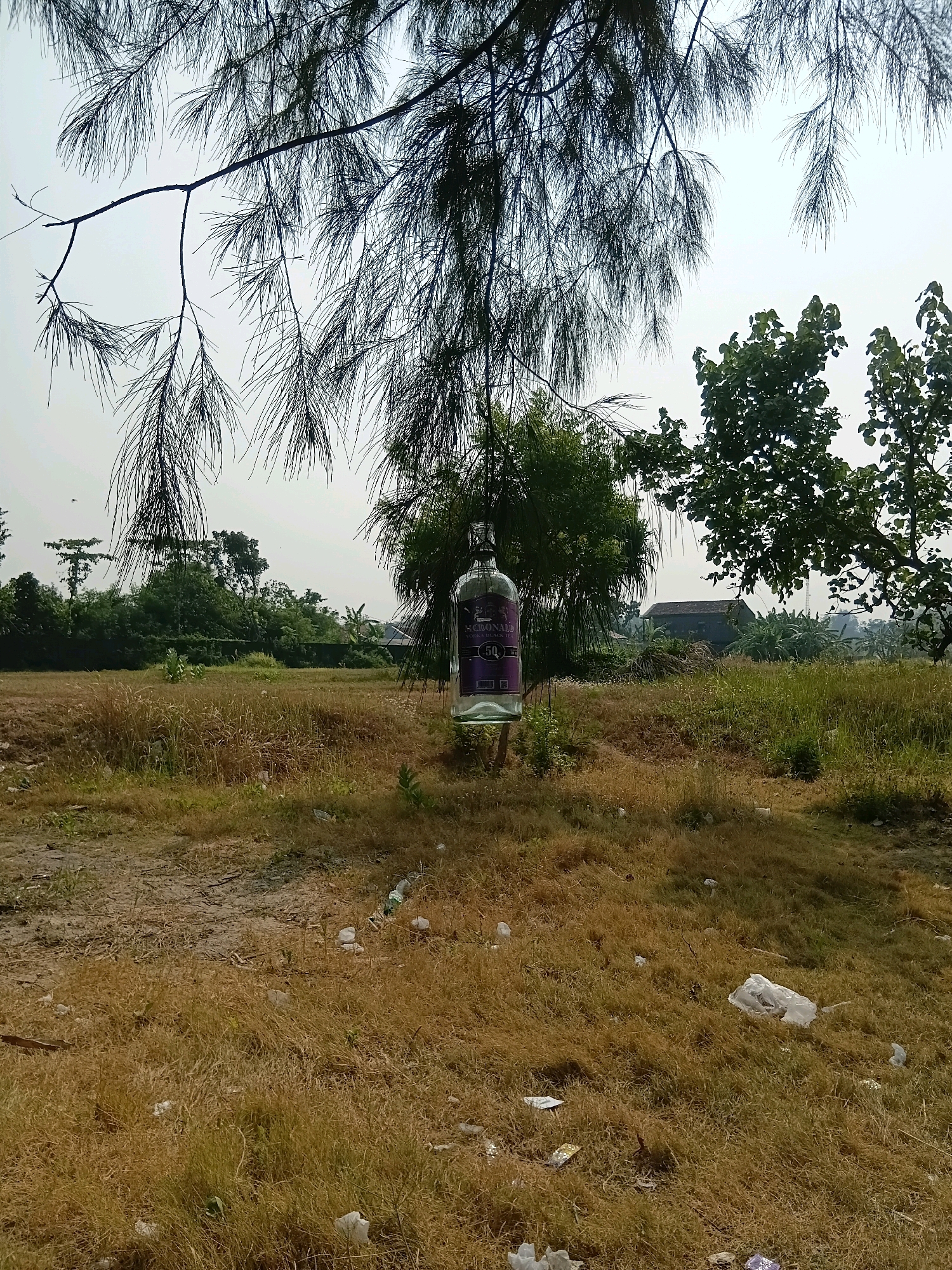 A landscape photograph shows a dried, grassy field littered with trash. A single glass bottle hangs from a tree branch in the foreground, its label partially visible. In the background, a dense line of trees separates the field from a building and a hazy sky. The scene appears to be in an undeveloped area, possibly on the outskirts of a town or city. The overall impression is one of neglect and disarray. The location is identified as Cikal, Indonesia.