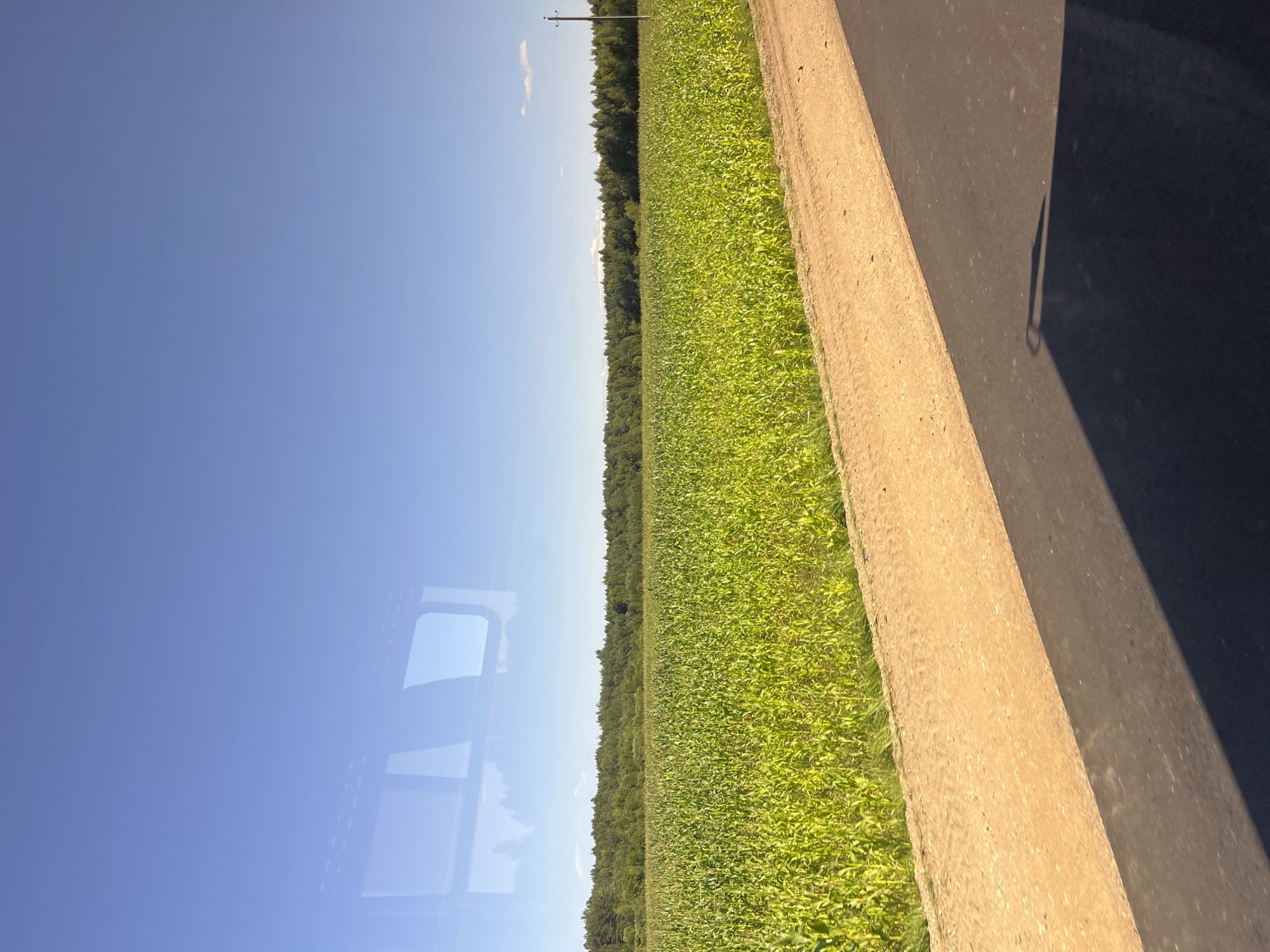 The image captures a clear, bright day with a vast expanse of green cornfield stretching towards a dense line of trees in the distance. The sky is a vibrant, cloudless blue. In the foreground, a dirt road runs alongside a paved surface, with the shadow of an unseen object, possibly a vehicle, cast across the paved area. A telephone pole stands by the edge of the cornfield, slightly to the right of the frame. The reflection of a window frame with a curved top is visible in the upper left portion of the image, suggesting the photo was taken from inside a vehicle or building. The scene appears to be in a rural setting, likely the Юнькаўскі сельскі Савет in Belarus, characterized by agricultural land and natural vegetation. There are no people or animals visible in the frame.