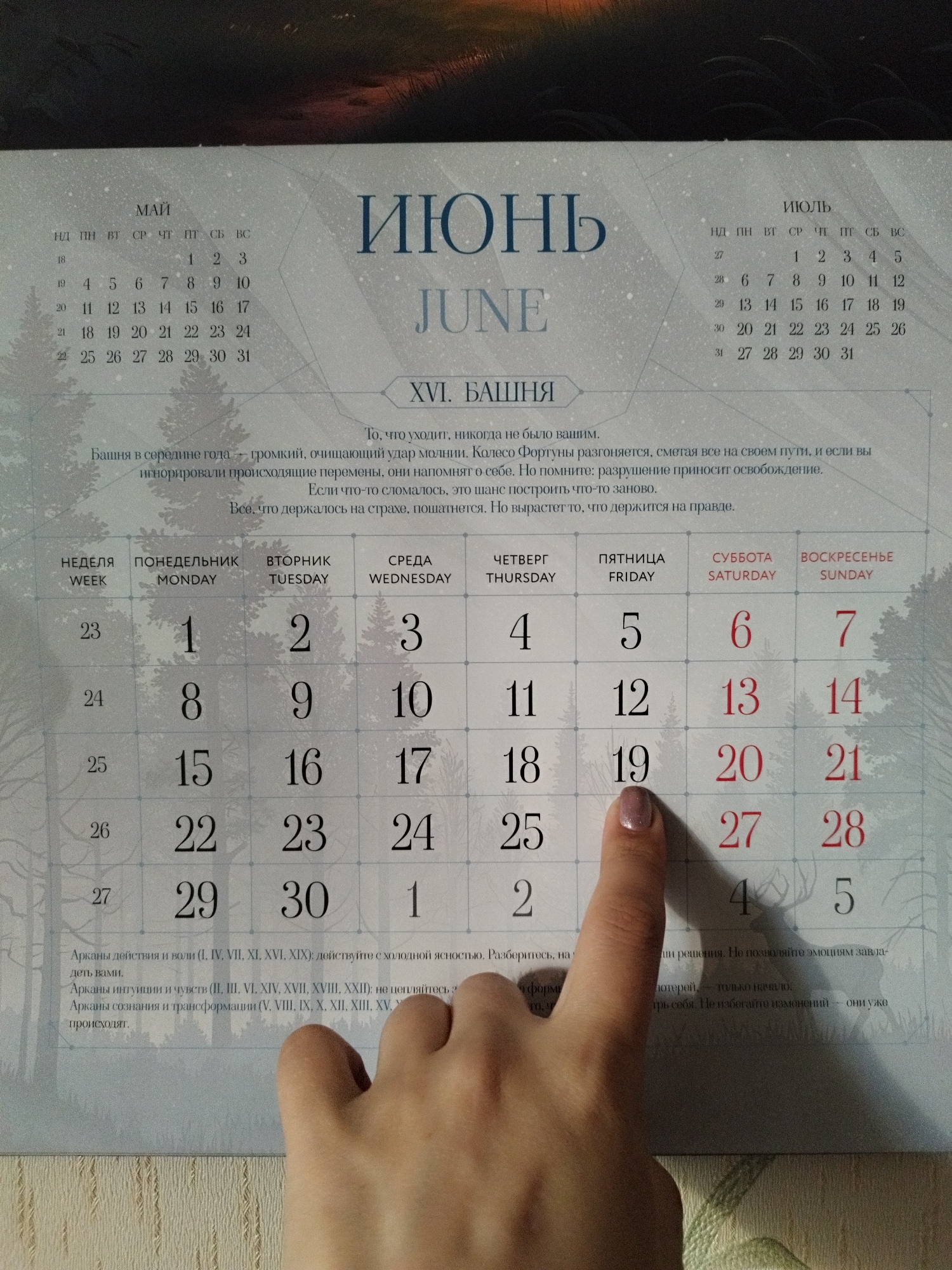 The image shows a close-up of a calendar page for June, with the month name "ИЮНЬ" prominently displayed. Below the month are the days of the week in Russian, followed by a grid of numbers representing the dates. The calendar grid is partially covered by a person's hand, specifically their index finger, which is pointing at the number 19. The background of the calendar page features an artistic illustration of a forest scene with silhouetted trees. There are also small snippets of text in Russian below the calendar grid, likely horoscopes or astrological interpretations. The lighting suggests an indoor setting. The calendar is likely a personal item, and its context within Saint Petersburg, Russia, is not discernible from the visual information alone.
