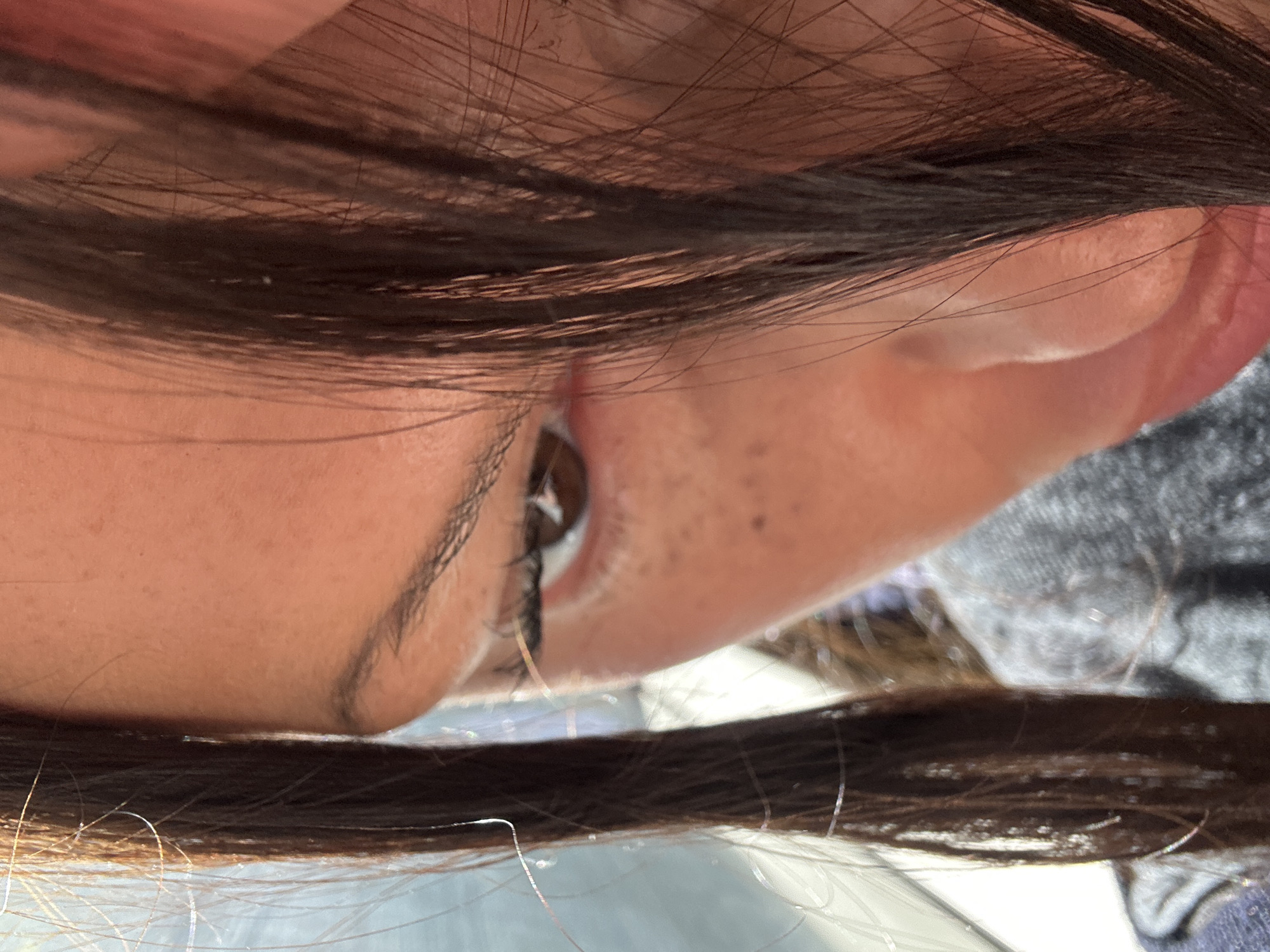 The image presents an extreme close-up of a person's head, rotated approximately 90 degrees counter-clockwise, showing one side of the face from a downward or sideways angle. The subject is a person with long, dark brown hair, which dominates the top and bottom portions of the frame, framing the visible facial features.
The central focus is on an open eye, characterized by a dark iris and pupil, and notably long, dark eyelashes. A well-defined dark eyebrow arches above the eye. The skin tone is fair to medium, with a few small, dark moles or freckles visible on the cheekbone area beneath the eye. Part of the ear, including the helix and concha, is visible on the right side of the frame, appearing pinkish and healthy.
The hair shows variations in color, with some strands appearing lighter or catching highlights, particularly in the cropped images where individual strands reflect light. The texture appears fine, with some stray hairs visible against the skin. A hint of grey fabric, possibly clothing, is discernible in the top right corner. The background beyond the immediate facial features and hair is soft and blurred, appearing as indistinct light tones, suggesting an indoor setting or controlled lighting.
No specific activity beyond the gaze is clearly depicted, and no discernible emotions are conveyed due to the close-up and partial view. There is no visible text in the image. The provided context states the location is Sevenoaks, United Kingdom.