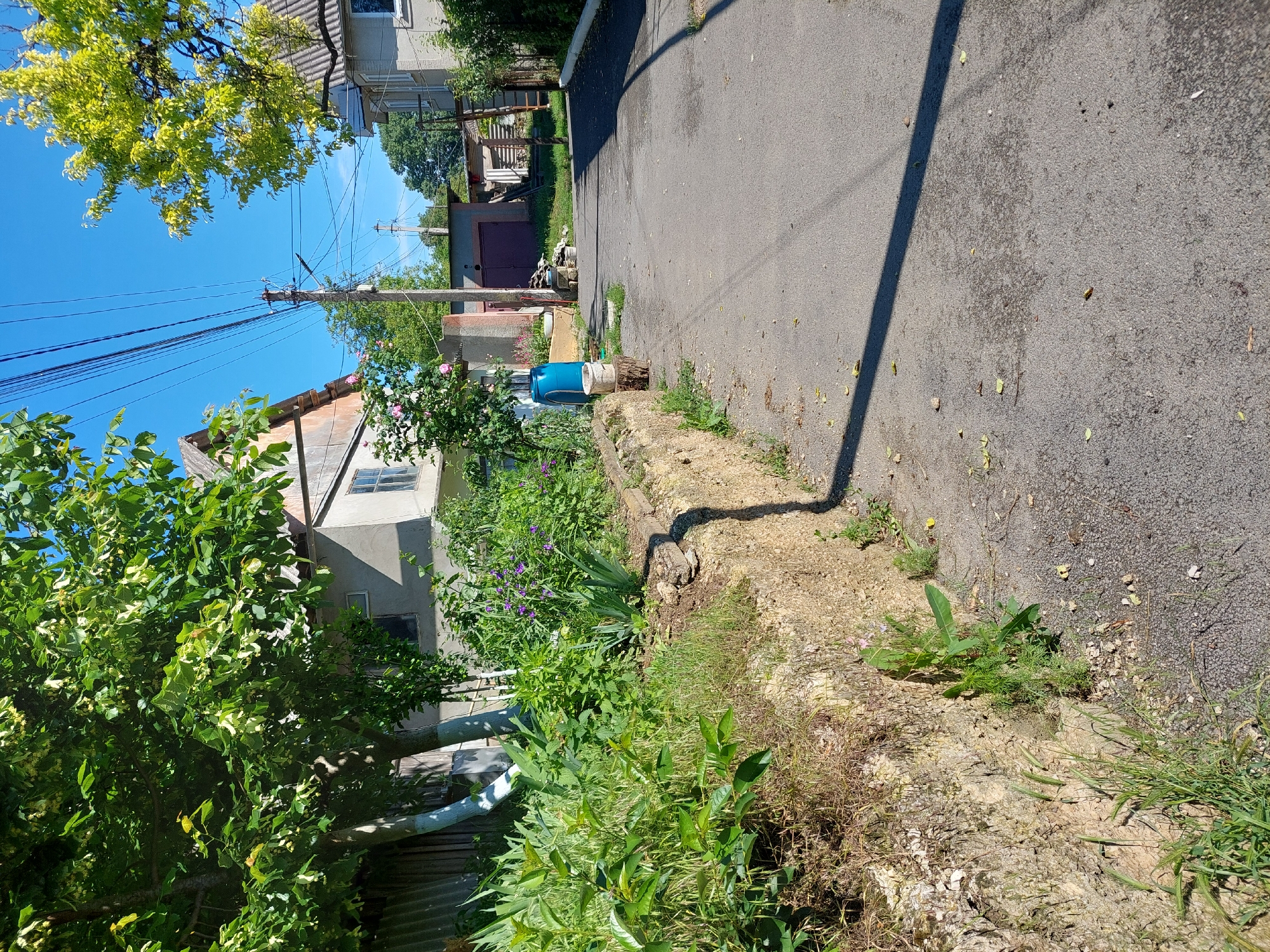 The image depicts a narrow, asphalt-paved street in Orhei, Moldova, on a clear, sunny day. The street is lined with vegetation, including a prominent wall made of rough-hewn stone and soil on the left, covered in various green plants and grasses. Behind the wall, a residential building with a peaked roof is visible, partially obscured by dense green foliage. A large tree with green leaves and some yellow blossoms extends into the frame from the upper left.
On the right side of the street, another residential building with a light-colored facade and a sloped roof is present. The street itself is mostly empty, with a long shadow cast by an unseen object stretching across it. Power lines crisscross the sky above. Further down the street, a detached garage with a dark red door and a corrugated metal roof is visible, along with other smaller structures and a wooden ladder leaning against one of them. A bright blue plastic barrel stands on the left side of the street near a tree stump. The environment suggests a semi-rural or suburban residential area.