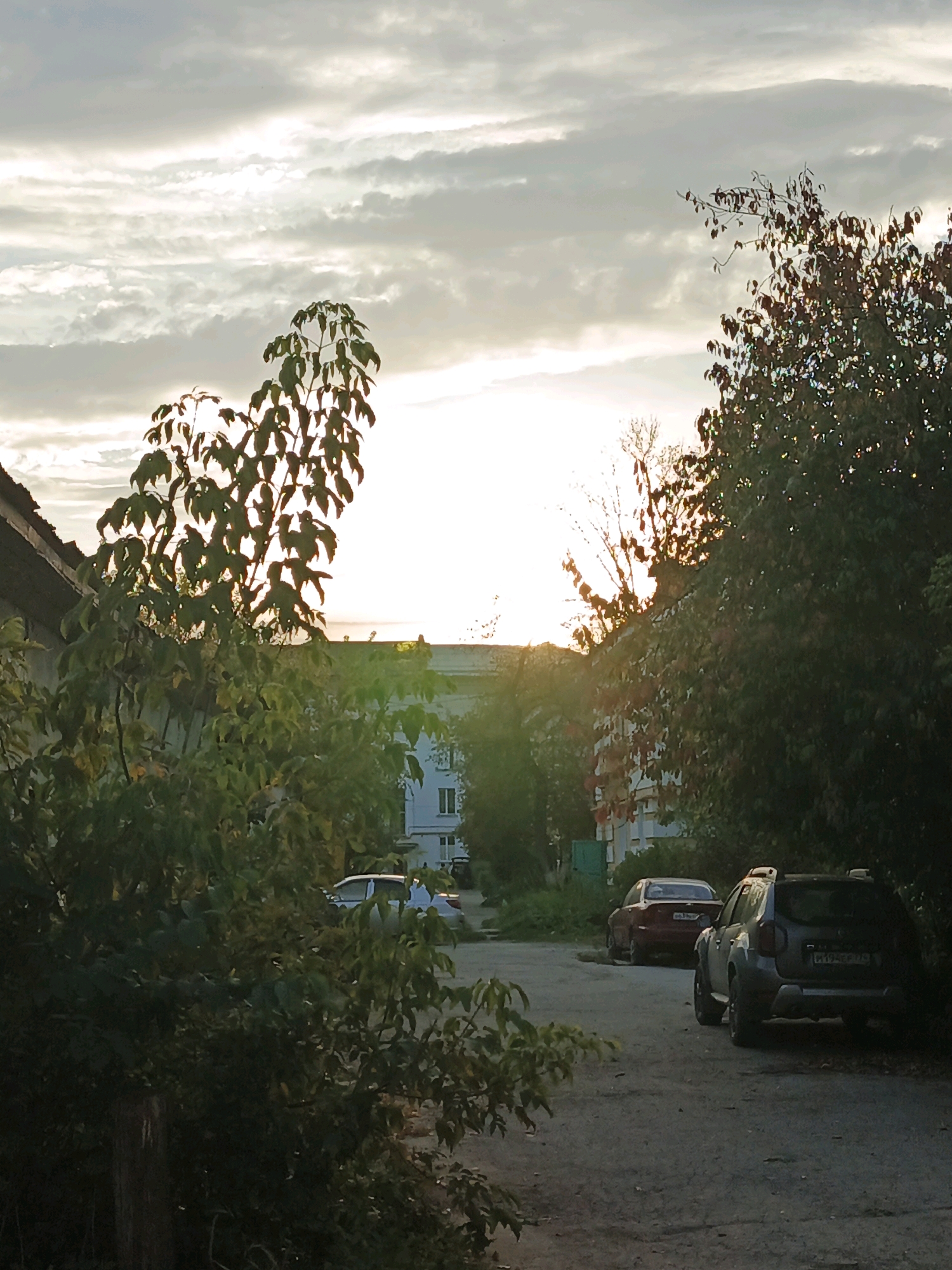 A cloudy, possibly overcast sky is visible in the upper portion of the image, with the sun peeking through the clouds, creating a bright glow. In the foreground, on the left side, there is a dense bush with green leaves, and to the right of it, a paved road with two cars parked on it. The car closer to the viewer is a dark gray SUV, and further down the road, a red sedan is parked. Behind the cars, buildings can be seen. The overall impression is that of a residential area in Zlatoust, Russia, at dusk or dawn, with natural elements like trees and foliage interspersed with urban structures.