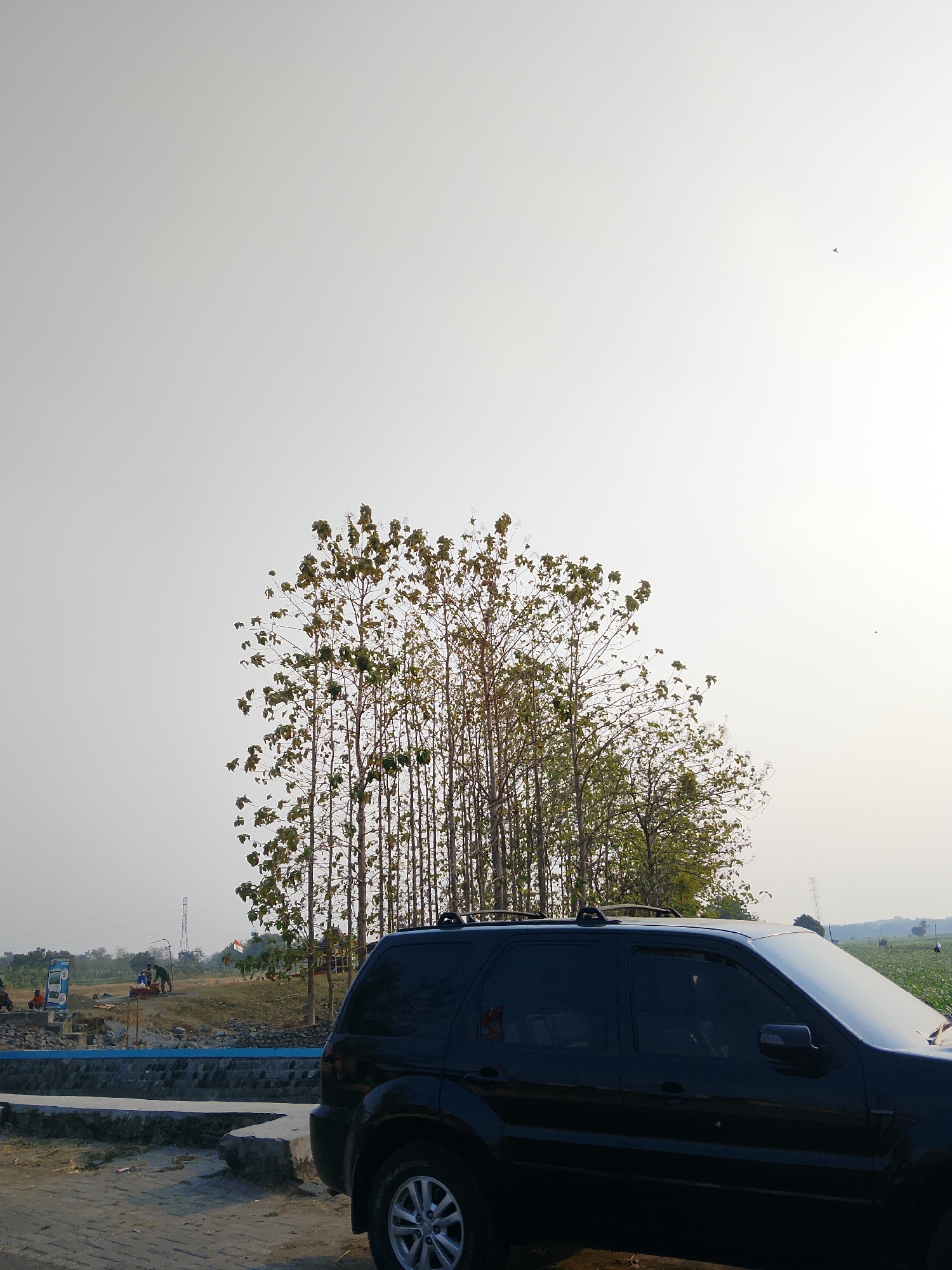 The image depicts a scene in Ngadrin, Indonesia, featuring a black SUV parked on a dirt road. In the background, a cluster of tall, slender trees with sparse green foliage dominates the mid-ground. Beyond the trees, an open field is visible with construction activity, including an excavator and what appears to be a small building or structure. A power line tower stands in the distance. The sky is clear and bright. The composition suggests an outdoor setting, possibly on the outskirts of the city, with a mix of natural and man-made elements.