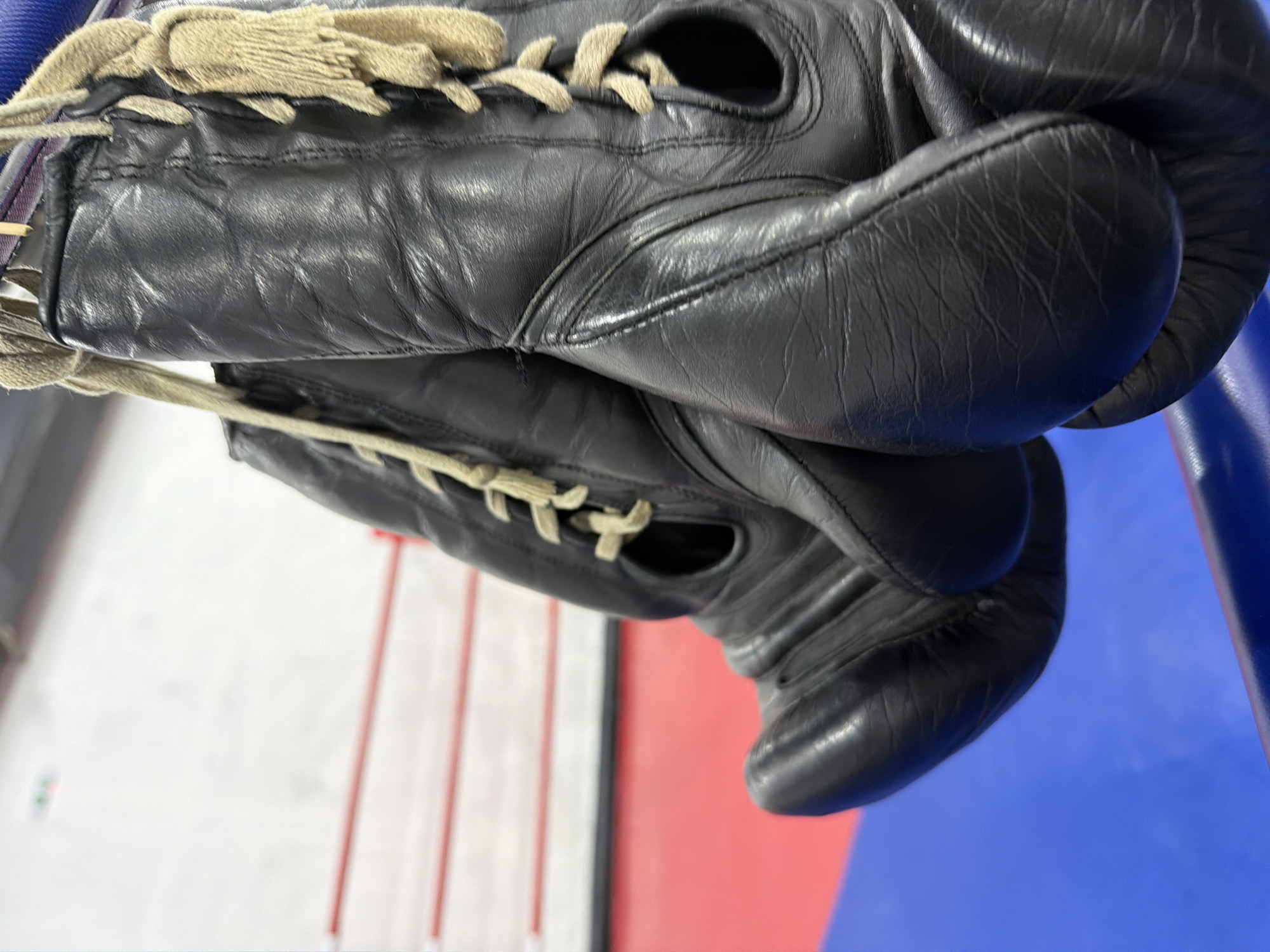 A pair of black leather boxing gloves hang from laces inside what appears to be a boxing ring, based on the background of red and blue padding. The gloves are worn, showing creases and imperfections in the leather. No people are visible. There is no evidence to identify the location as Blagoevgrad, Bulgaria.