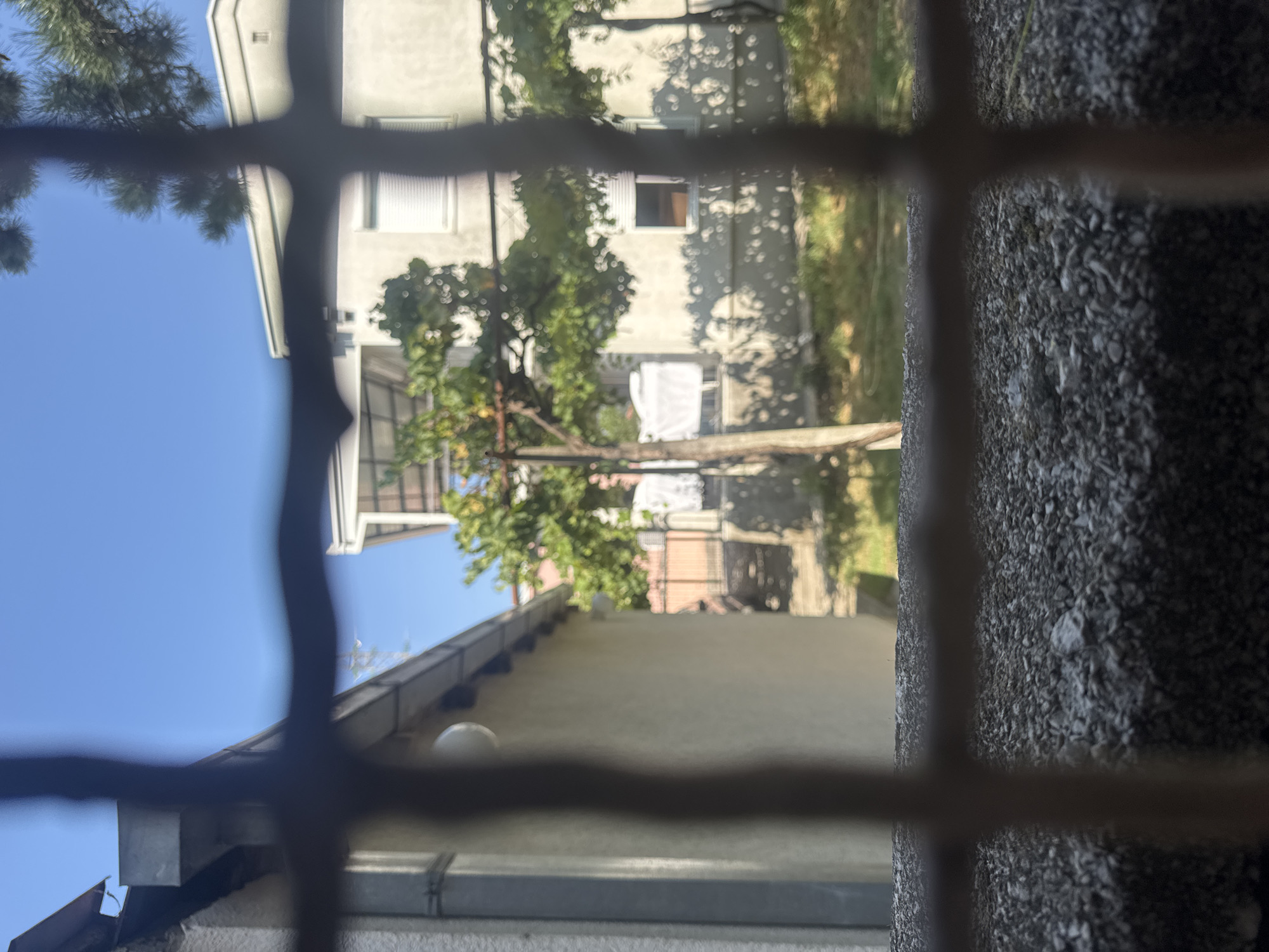 A slightly out-of-focus, medium-shot, eye-level, outdoor photograph shows a courtyard scene viewed through a barred window. The foreground is dominated by a textured, gray, concrete surface with a visible grate or bars in front of the lens, creating a visual obstruction. In the midground, a pale yellow building with a dark gutter runs along the roofline on the left side. Further back, a light-colored, multi-story building is visible, with a dark-framed window and white shutters on the upper level. A tree with green foliage is positioned in front of this building, and a clothesline with white laundry is also present. The background consists of a clear, bright blue sky and hints of green vegetation. The overall setting appears to be a residential area.