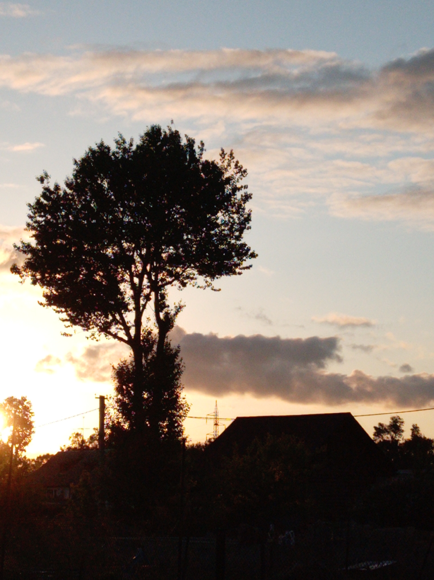 The image captures a silhouetted landscape at dusk in what appears to be a residential area near Artyom, Russia. A large, prominent tree dominates the left side of the frame, its leaves and branches sharply defined against the fading light. The silhouette of a house with a peaked roof and other vegetation is visible in the lower center. Power lines and utility poles are also present, further suggesting a residential environment. The sky is a blend of orange, pink, and light blue hues, interspersed with clouds.