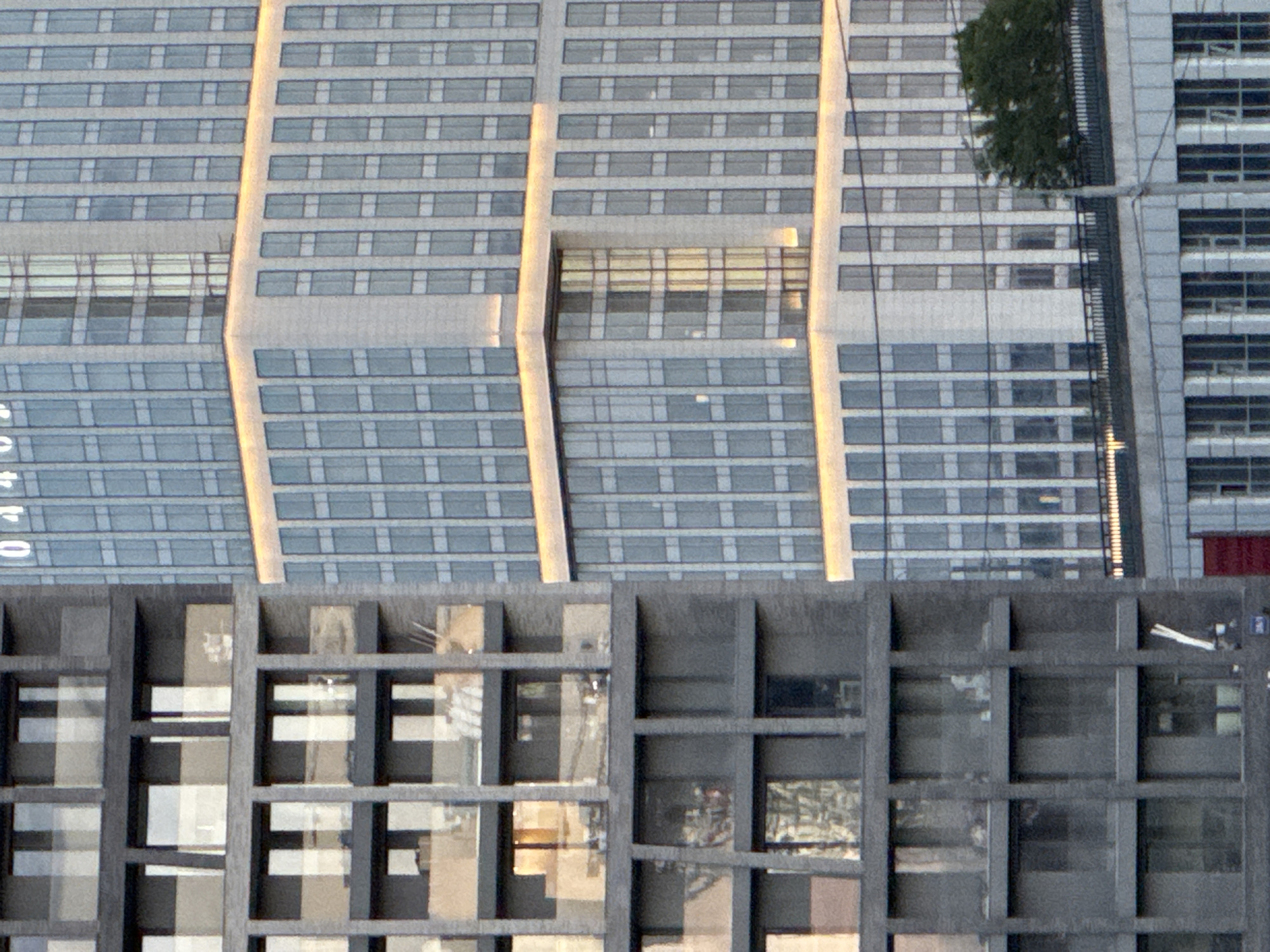 An overhead, slightly angled shot captures the modern facades of several high-rise buildings in an urban setting, likely Moscow, Russia. The primary focus is on two distinct structures.
The top building, light grey or off-white, features a repeating pattern of rectangular windows, indicative of an office or residential block. Vertical, light-colored architectural elements, possibly illuminated strips or sunlit panels, run up the facade, with some showing a gentle curve. A large, recessed section in the middle of this building appears to be a glass-enclosed atrium or an open space within the structure. On the far left, a partial numerical text "0440" is visible vertically on the building's glass surface.
Below this, a second building dominates the lower half of the image. It presents a darker, more textured facade with a pronounced grid-like pattern, possibly made of dark stone or metal panels. Its windows reflect scattered light and fragmented views of the surroundings.
On the far right, another building with a different, more segmented window design is partially visible. A patch of green foliage, resembling a tree or large plant, grows on a ledge or roof of one of the buildings, introducing a natural element into the concrete environment. Utility wires or cables are faintly visible stretching across the scene.
The lighting suggests late afternoon or early morning, with warm, golden light illuminating the vertical strips of the upper building and reflecting off various window surfaces. The sky appears clear, indicating good weather. No human activity is discernable, presenting a static architectural composition.