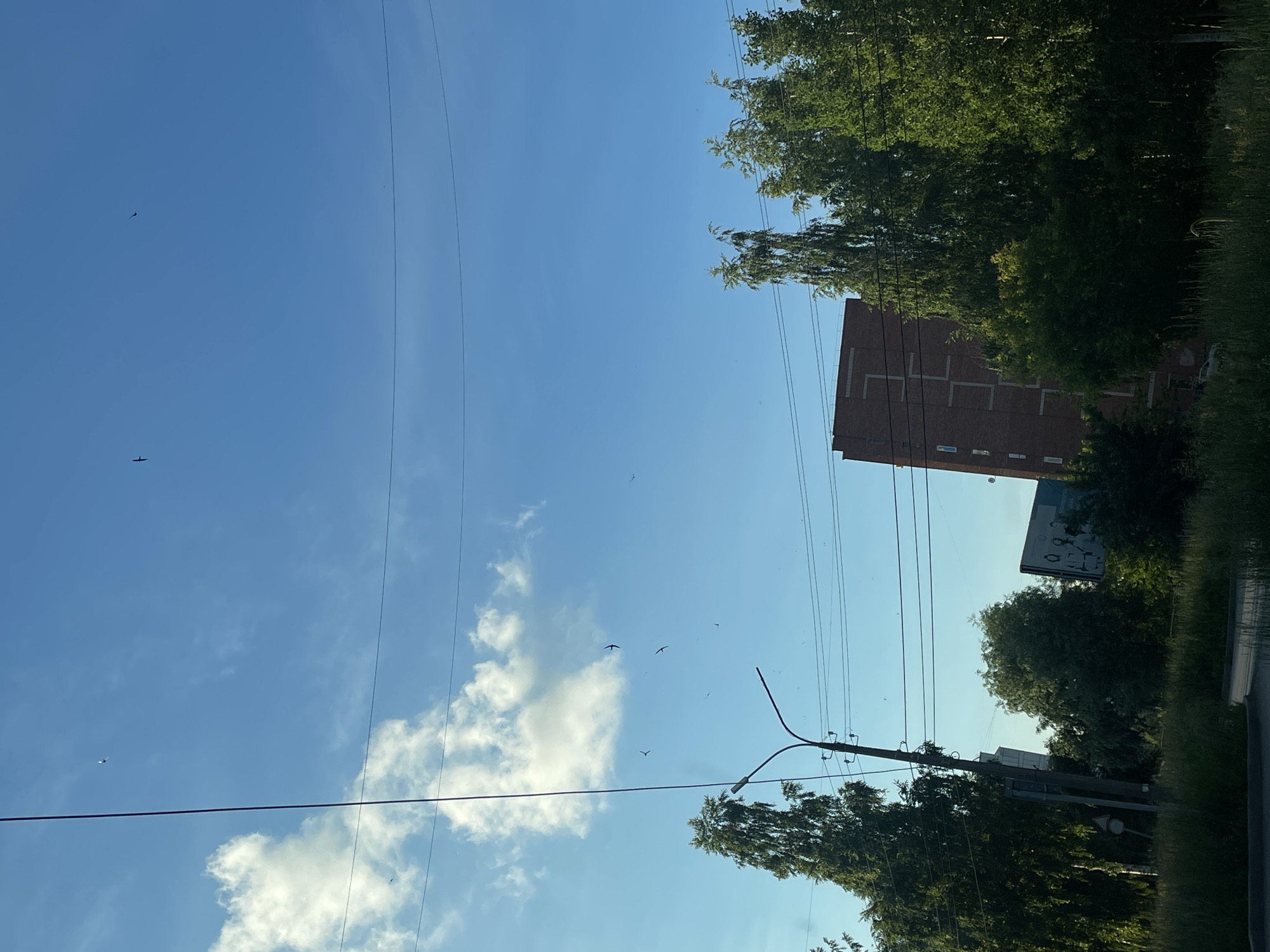 A wide shot of a bright blue sky with scattered clouds shows a tall, narrow brick building in the mid-ground, partially obscured by tall, leafy green trees. Overhead power lines crisscross the sky. In the foreground, a patch of tall grass and some shadowy foliage line a road. A few birds are visible in flight against the sky. The scene appears to be in the city of Votkinsk, Russia.