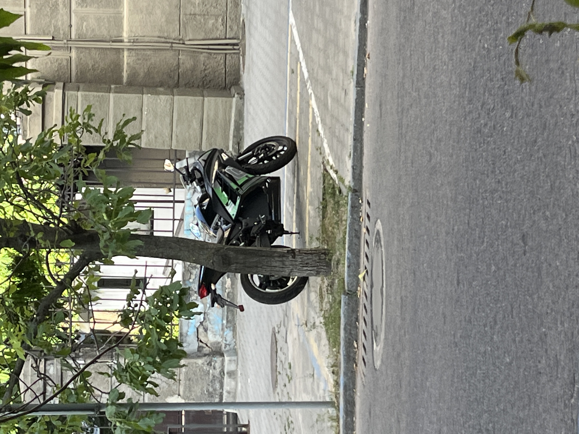 A black motorcycle is parked on a paved area next to a tree. The motorcycle is angled with its front wheel slightly lifted. The tree has a thick trunk and is covered in green leaves. Behind the motorcycle and tree, there is a building with a stone facade and windows. The ground is paved with concrete and some cracks are visible. There are yellow and white painted lines on the pavement, suggesting a parking area. A circular metal grate is also visible on the pavement. The scene appears to be outdoors on a sunny day. The time of day is difficult to determine, but the lighting suggests it is daytime. There are no people visible in the image. The setting appears to be urban, possibly a street or a courtyard. The image is oriented vertically.