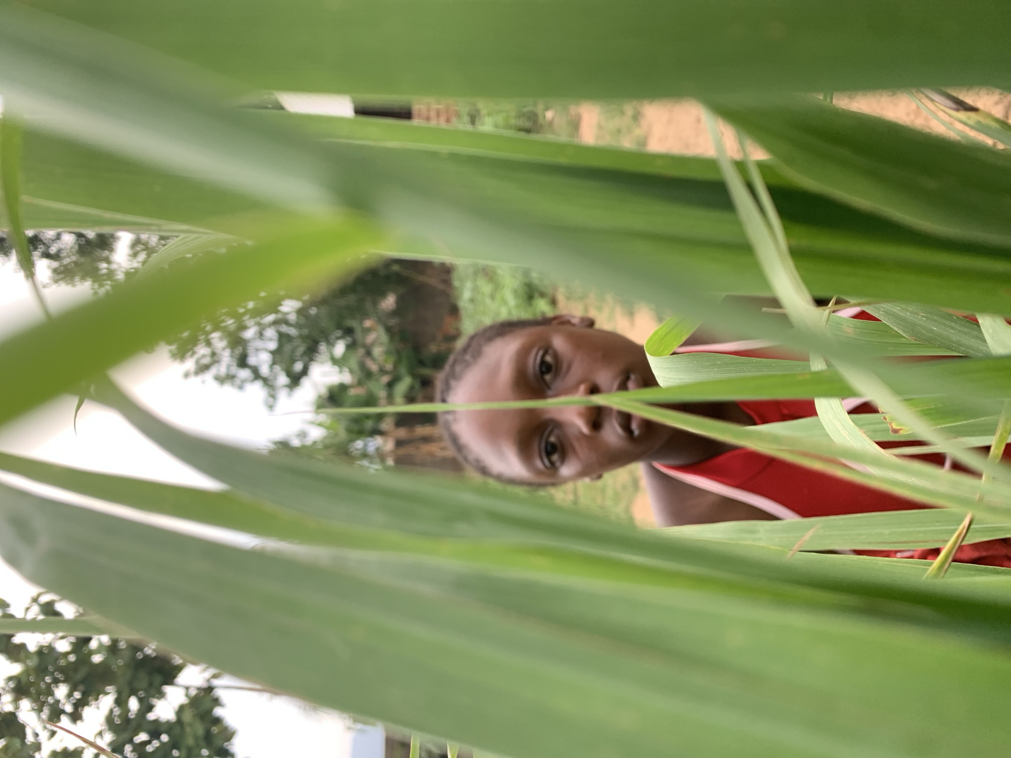 A young Black female stands amongst tall green grass in Agban, Nigeria. The girl is partially obscured by the grass, which is the primary focus of the image. She is wearing a red tank top with white trim and has short, dark hair. The background shows a blurry landscape of trees and a building.