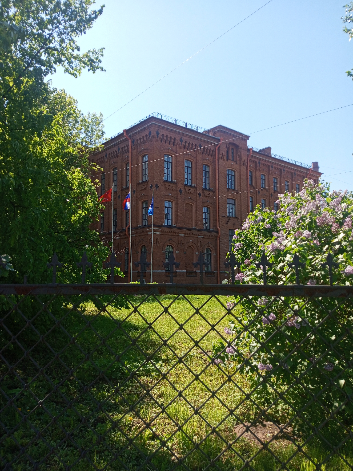 A three-story red brick building stands behind a metal chain-link fence, partially obscured by trees and blooming purple lilac bushes. Three flags, one red, one with a white, blue, and red stripe, and one blue, are visible in front of the building. The building features regularly spaced windows and decorative architectural details along the roofline. A grassy lawn is present between the fence and the building. The sky is clear and blue. The location is likely Saint Petersburg, Russia, based on the architectural style and the presence of the Russian flag.