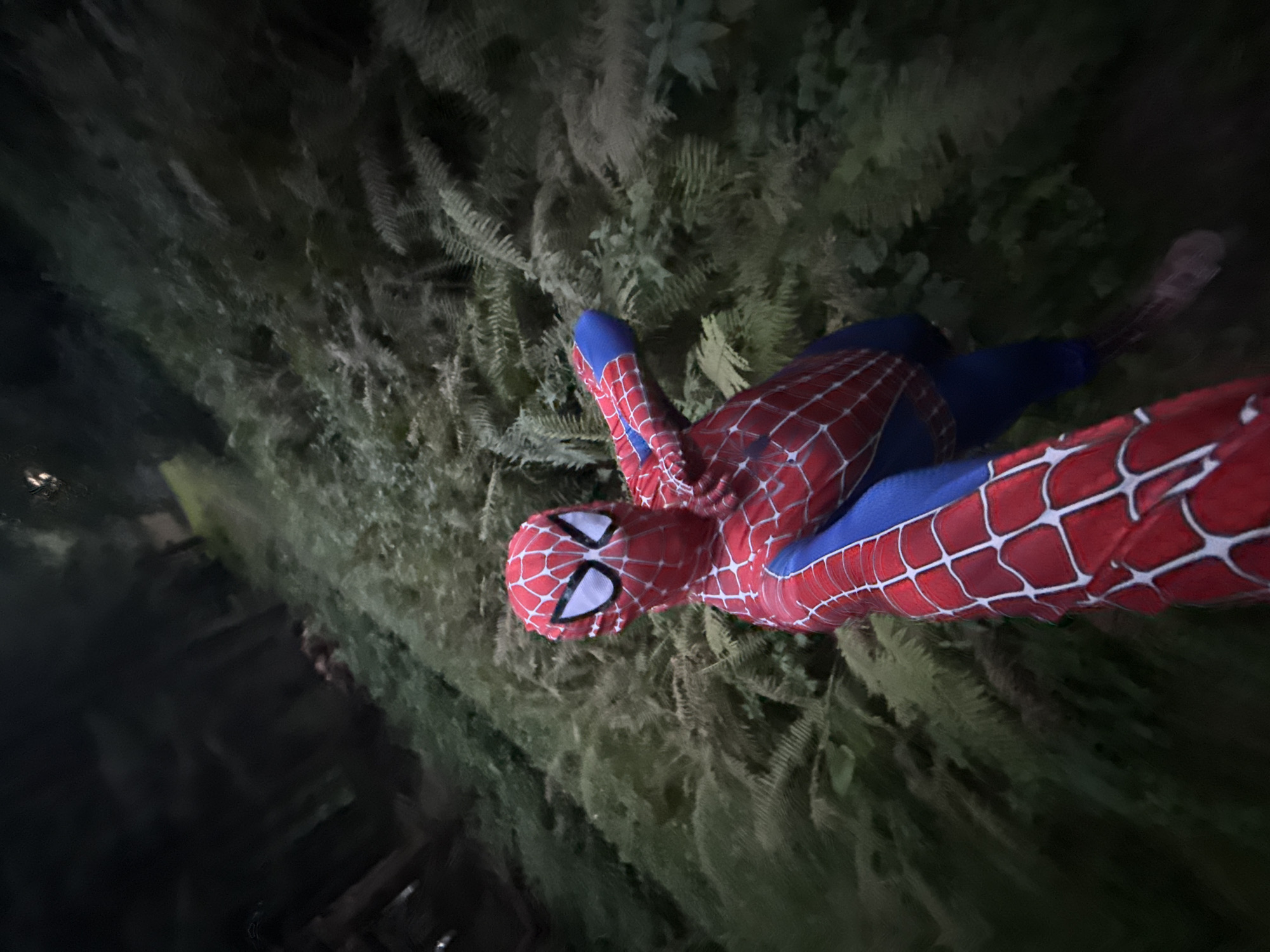 A person in a Spider-Man costume is standing in a densely wooded area, possibly a forest or park, at night. The person is facing the camera and appears to be taking a selfie. The costume is red and blue with the iconic web pattern. The background is filled with dark green foliage, likely ferns and trees, and the lighting suggests it is dark with artificial light sources in the distance, possibly from a nearby road or dwelling. The image is slightly blurred, indicating movement. The location is not identifiable within the city of Chaikovsky, Russia, as there are no specific landmarks or features to indicate this.