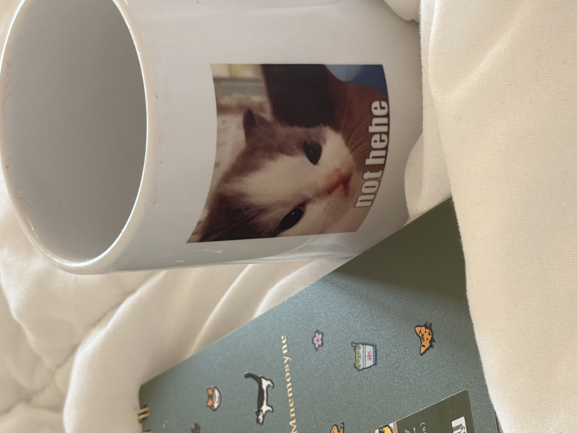 The image presents an indoor still life from a top-down, slightly angled perspective, showcasing a white ceramic mug and a dark green notebook resting on a soft, white textured fabric, likely a bed or blanket, in a cozy setting in Moscow, Russia.
The central subject is a white mug, positioned with its rim facing towards the upper left. Affixed to its side is a sticker featuring a light-colored cat with brown markings, its expression appearing somewhat disgruntled or unimpressed. Below the cat's image, the text "not hehe" is printed vertically, contributing a humorous or sarcastic tone. The interior of the mug is visible and appears empty.
Adjacent to the mug, a dark green notebook or planner is partially visible. Its cover is adorned with a series of small, colorful icons, including a brown cat, a black-and-white dog, a pink flower, a depiction of shaved ice or a similar dessert with the Japanese character for ice ("氷"), and an orange butterfly. The brand name "Mnemosyne" is subtly printed vertically in gold lettering on the notebook's cover.
The soft, white fabric provides a comfortable and intimate backdrop. The lighting is gentle and even, typical of an indoor daytime setting without harsh direct sunlight. While no people are visible, the arrangement of these personal items suggests a moment of relaxation, study, or contemplation. The overall mood is calm and personal.