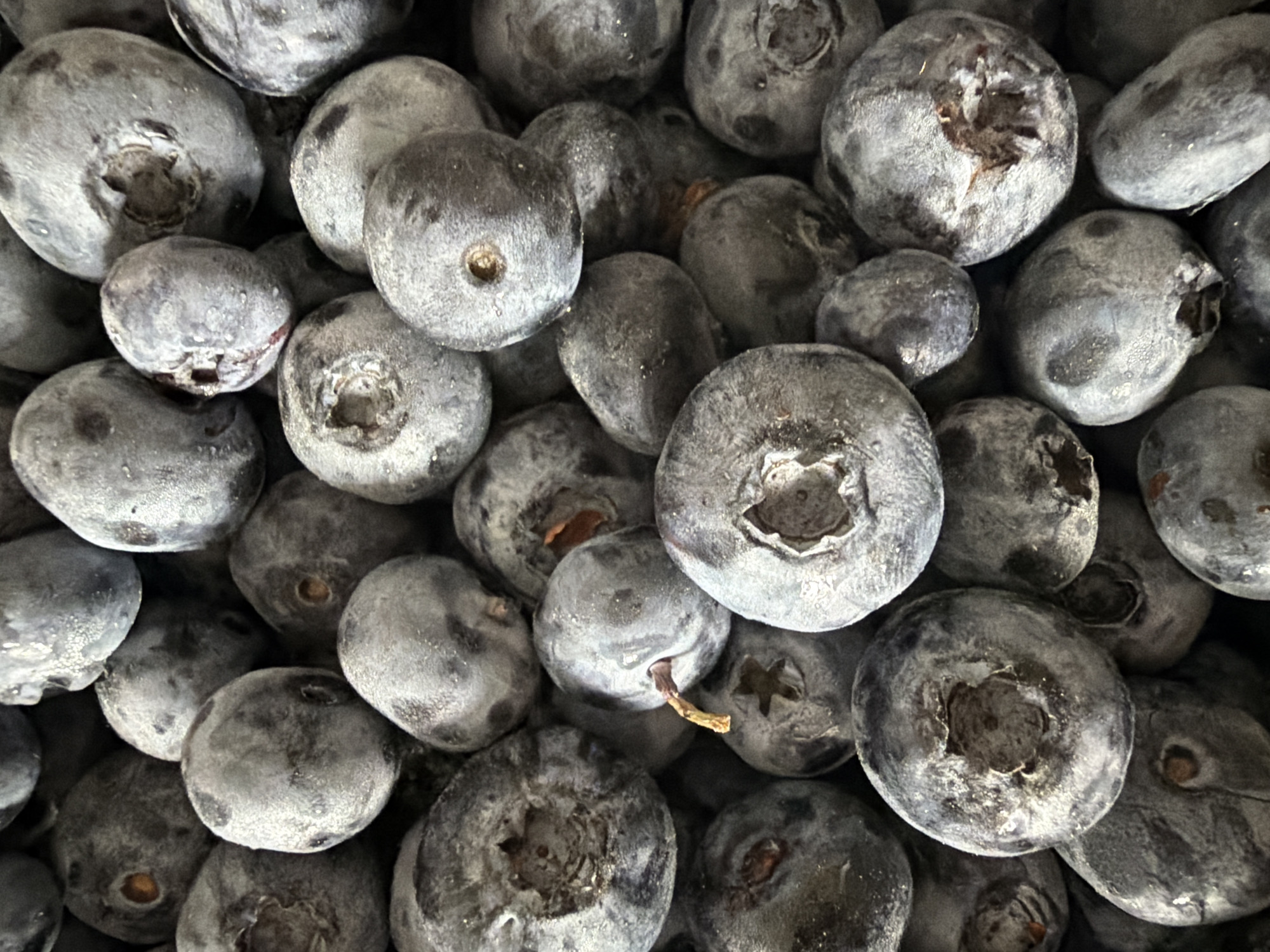 The image is a close-up, overhead view of a pile of fresh blueberries. The blueberries are predominantly a deep blue-purple color with a slightly powdery, dusty bloom on their surfaces. Some berries show lighter blue or greyish tones. They are round to oval in shape, with visible indentations or dried remnants of the blossom end and stem attachment points. The lighting is diffused, casting soft shadows and highlighting the textures of the berries. There are no visible signs of people, animals, or man-made objects other than the blueberries themselves. The environment is entirely composed of the blueberries. The image does not contain any information that would allow for its localization in Irkutsk, Russia, or any other specific city.