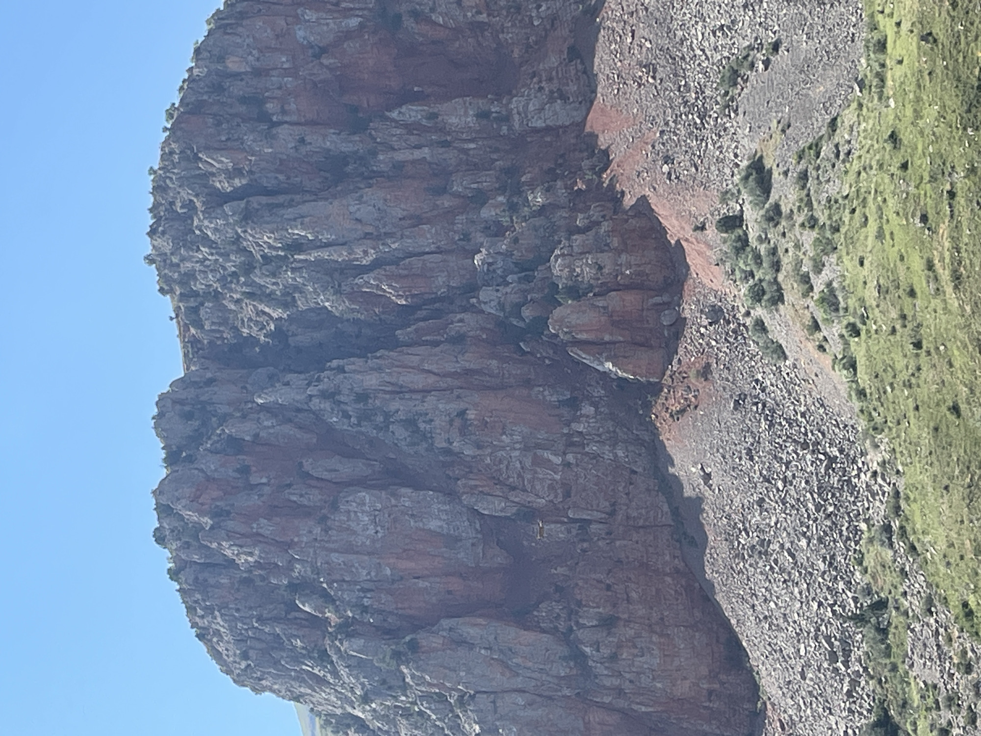 The image shows a vast, rugged mountain face with steep, rocky cliffs. The rock is a mixture of grey and reddish-brown hues, with visible striations and fissures. Sparse vegetation, including small trees and shrubs, clings to the less sheer parts of the mountain and dots the lower slopes. The terrain at the base of the mountain is a scree slope covered in loose rocks, transitioning to grassy, undulating hills in the foreground. The sky above is a clear, bright blue. In the mid-ground, a small, light-colored object, possibly an aircraft or drone, is visible in flight against the mountain face. The scene is characteristic of the mountainous landscape surrounding the town of Areni in Armenia, known for its dramatic geological formations and wine production.