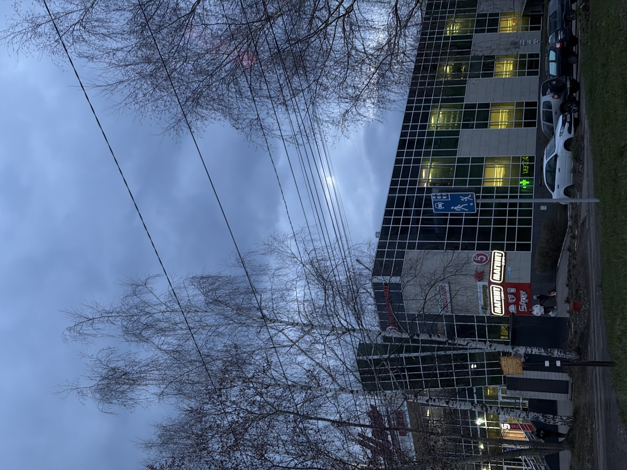 The image shows a view of the "Magnit" supermarket in Chaikovsky, Russia. The building is a modern, multi-story structure with a grid-like facade. Several cars are parked along the street next to the building. Power lines are visible in the sky, which is overcast. Bare trees frame the scene. People are visible near the entrance of the store.