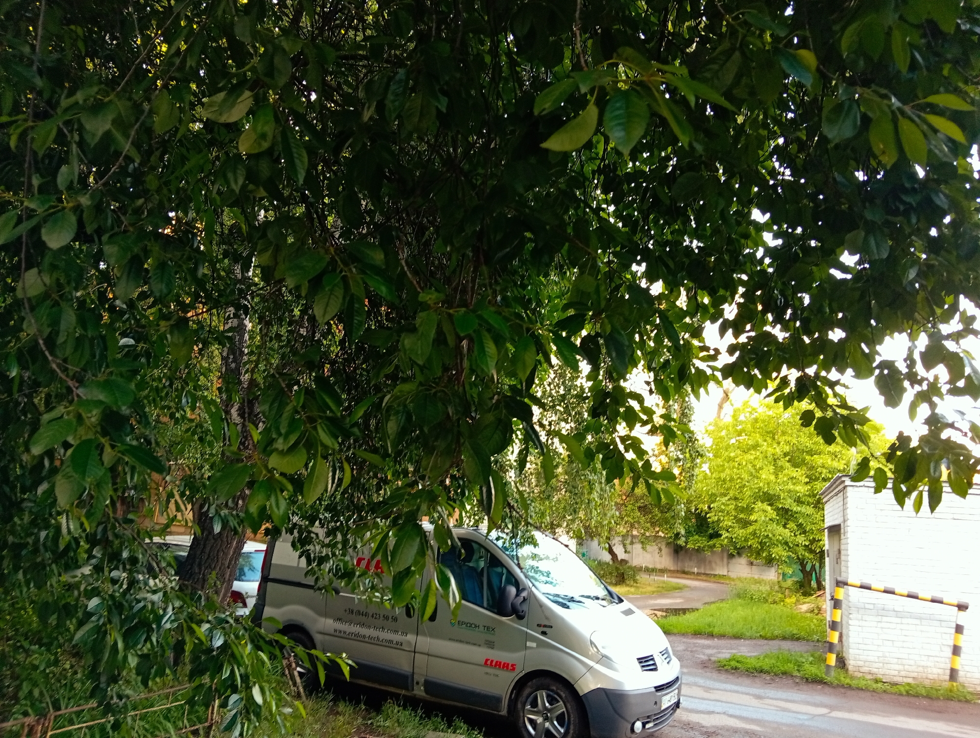 This media file captures an outdoor scene, likely in a semi-urban or commercial area of Ukraine, given the visible contact information. The main subject is a silver delivery van, possibly a Renault Trafic, parked beneath the heavy canopy of large green trees that occupy the left and top portions of the image.
The van features the "CLAAS" logo and contact details for "Eridon Tech" (ЕРІДОН ТЕХ), including a Ukrainian phone number (+38 (044) 423 50 50), an email address (office@eridon-tech.com.ua), and a website (www.eridon-tech.com.ua). Sunlight filters through the dense foliage, creating bright patches and dappled light, indicating either early morning or late afternoon on a clear, sunny day.
To the right of the van, a white brick building with a dark door is visible, accompanied by a black and yellow striped barrier, suggesting an entrance or gate. A narrow, paved road, slightly worn, curves past the building and into the background. Further back, more green trees and foliage are present, along with a glimpse of another light-colored vehicle partially obscured by a tree on the left. No people or active events are depicted; the scene is tranquil.