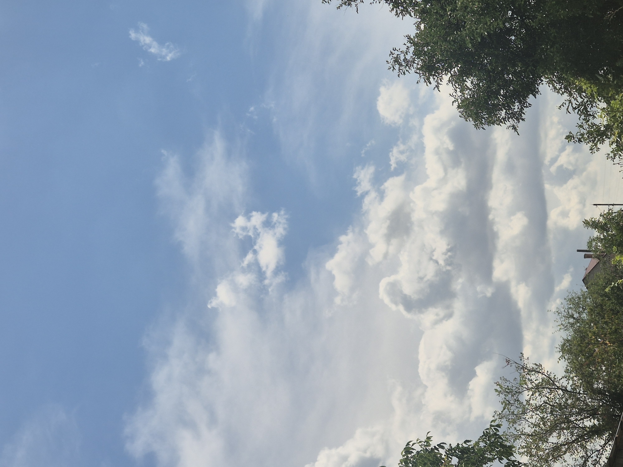 A sky with scattered white clouds is visible in the upper part of the image. The lower part of the image shows the tops of green trees and the roof of a building. The scene appears to be outdoors in a rural or suburban area. The image is taken during the daytime.