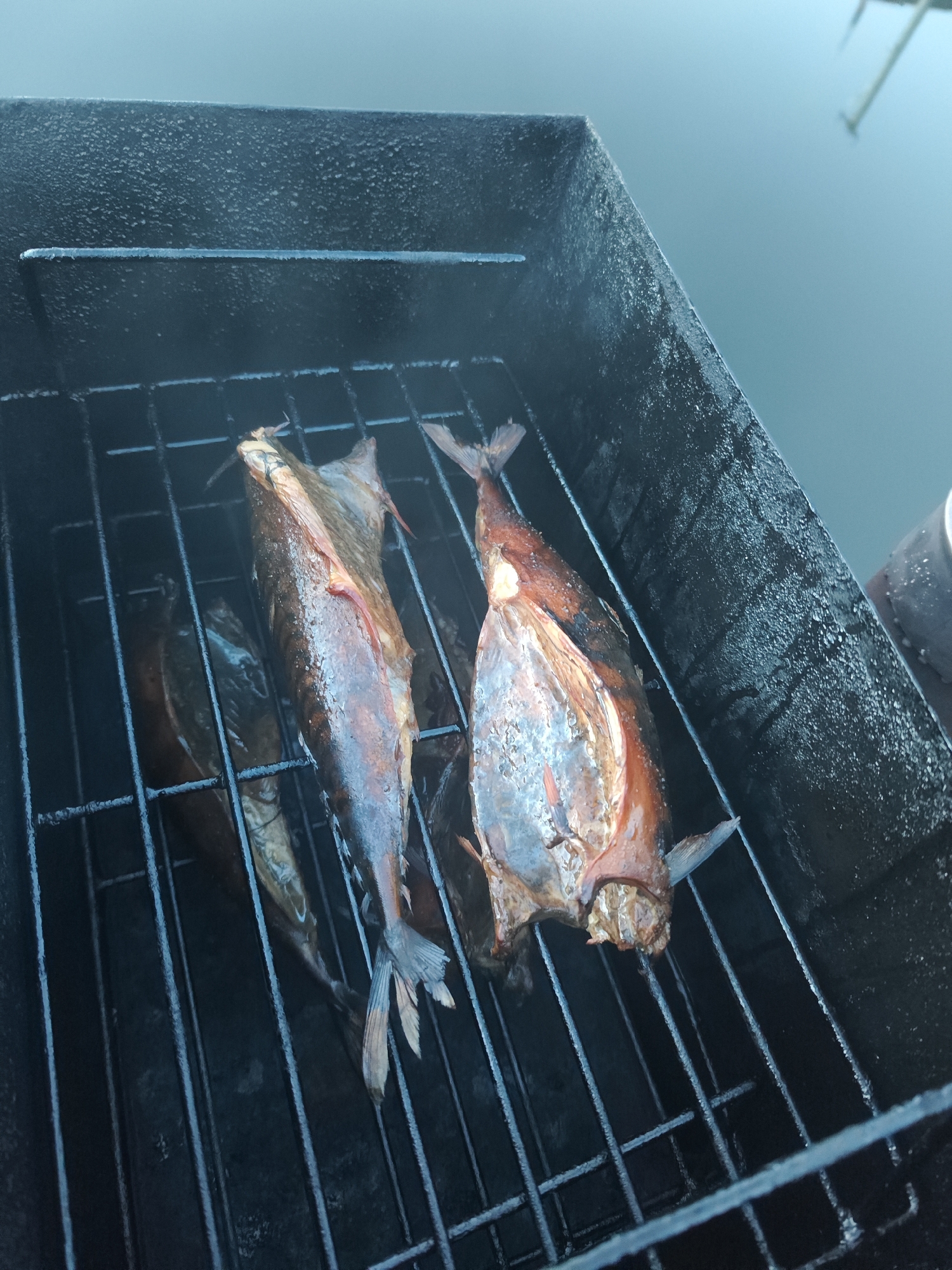 The image shows a black smoker box containing at least four smoked fish, likely mackerel, sitting on a black wire rack. The smoker is outdoors, possibly near a body of water, as indicated by the background. There is no visible indication of the location being Chaikovsky, Russia, or the presence of any people. The image focuses on the cooked fish inside the smoker.
