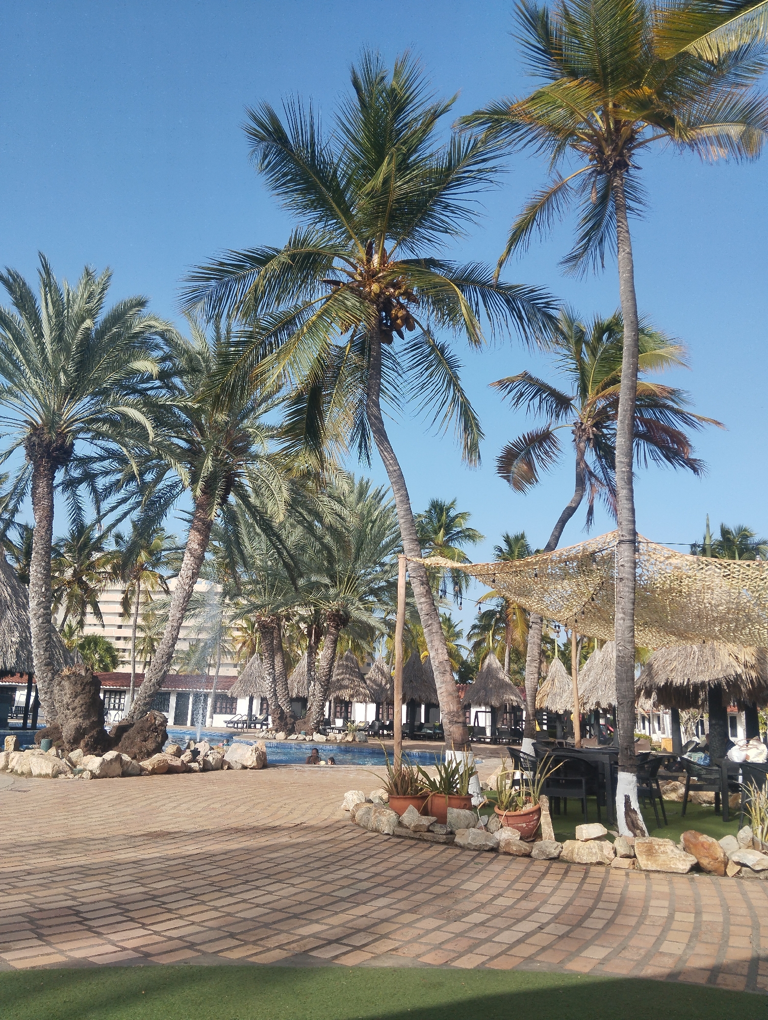 The image depicts a sunny outdoor scene in what appears to be a resort or hotel complex. The sky is a clear blue. Several palm trees are scattered throughout the scene.
In the midground, there is a swimming pool with people swimming. A fountain feature is visible in the pool. Behind the pool, there is a building structure.
To the right of the pool, there are thatched-roof structures providing shaded areas with tables and chairs. The foreground features a paved area with rocks and potted plants. A section of artificial turf is visible at the bottom of the frame.
Based on visual elements, the location is likely a tropical destination with resort-style amenities. However, the presence of Porlamar, Venezuela cannot be confirmed with only the visual information.