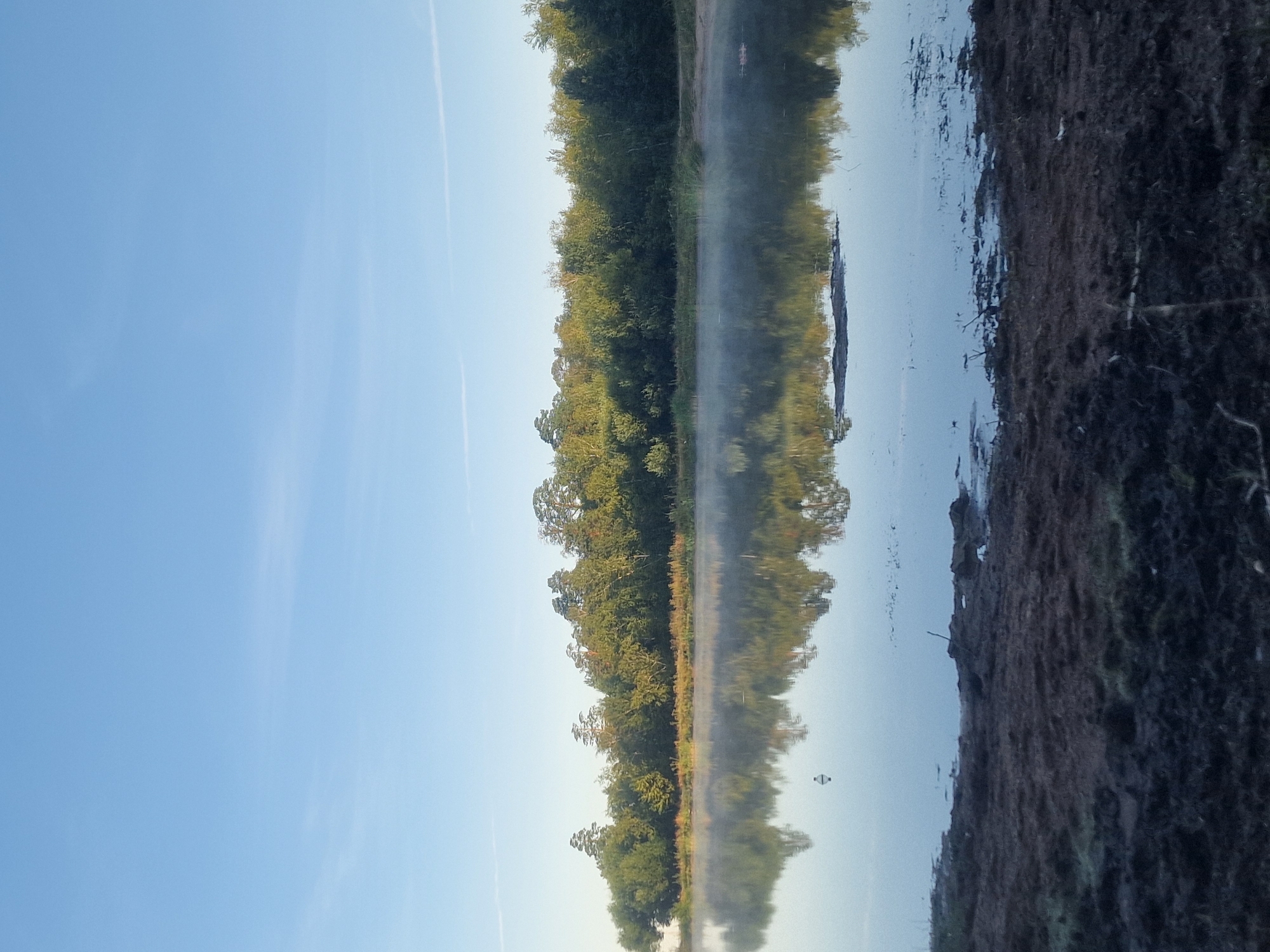 This image depicts a serene natural landscape, likely a lake or pond, situated in the Макинка ауылдық округі, Kazakhstan. The foreground is dominated by muddy, dark-brown earth, with some sparse vegetation and debris scattered across it. A body of calm water occupies the middle ground, reflecting the lush green trees and clear blue sky above. A faint mist hovers over the water's surface, adding to the tranquil atmosphere. The background features a dense line of deciduous and coniferous trees, their foliage a vibrant green, backed by an expansive, pale blue sky with a few wispy white clouds. There are no people or animals visible in the scene. The overall impression is one of peaceful natural beauty, likely captured during the early morning or late afternoon given the soft light.