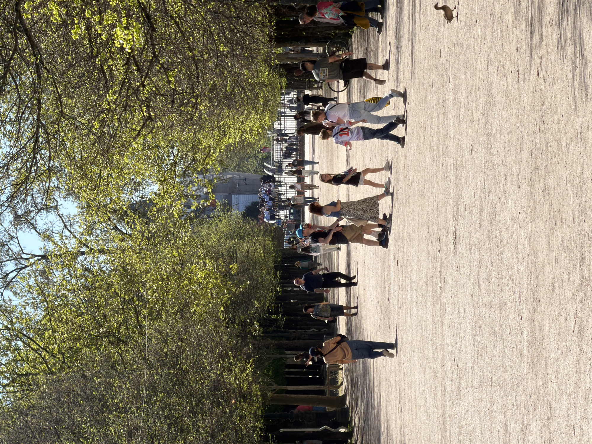 The image captures a scene along a path in the Tuileries Garden in Paris, France. A wide, light-colored gravel path stretches into the distance, bordered by rows of trees that line the pathway. The trees are budding with fresh green leaves, indicative of springtime. Along the path, pedestrians are walking and strolling, some alone and others in groups, moving in both directions. A variety of clothing is apparent, from casual attire to more dressed-up ensembles. In the distance, a wrought-iron fence divides the park with people gathered beyond, including the location of the Louvre museum. The light suggests a sunny day, casting shadows of the trees and people along the path. In the very upper right-hand corner is what appears to be a squirrel.