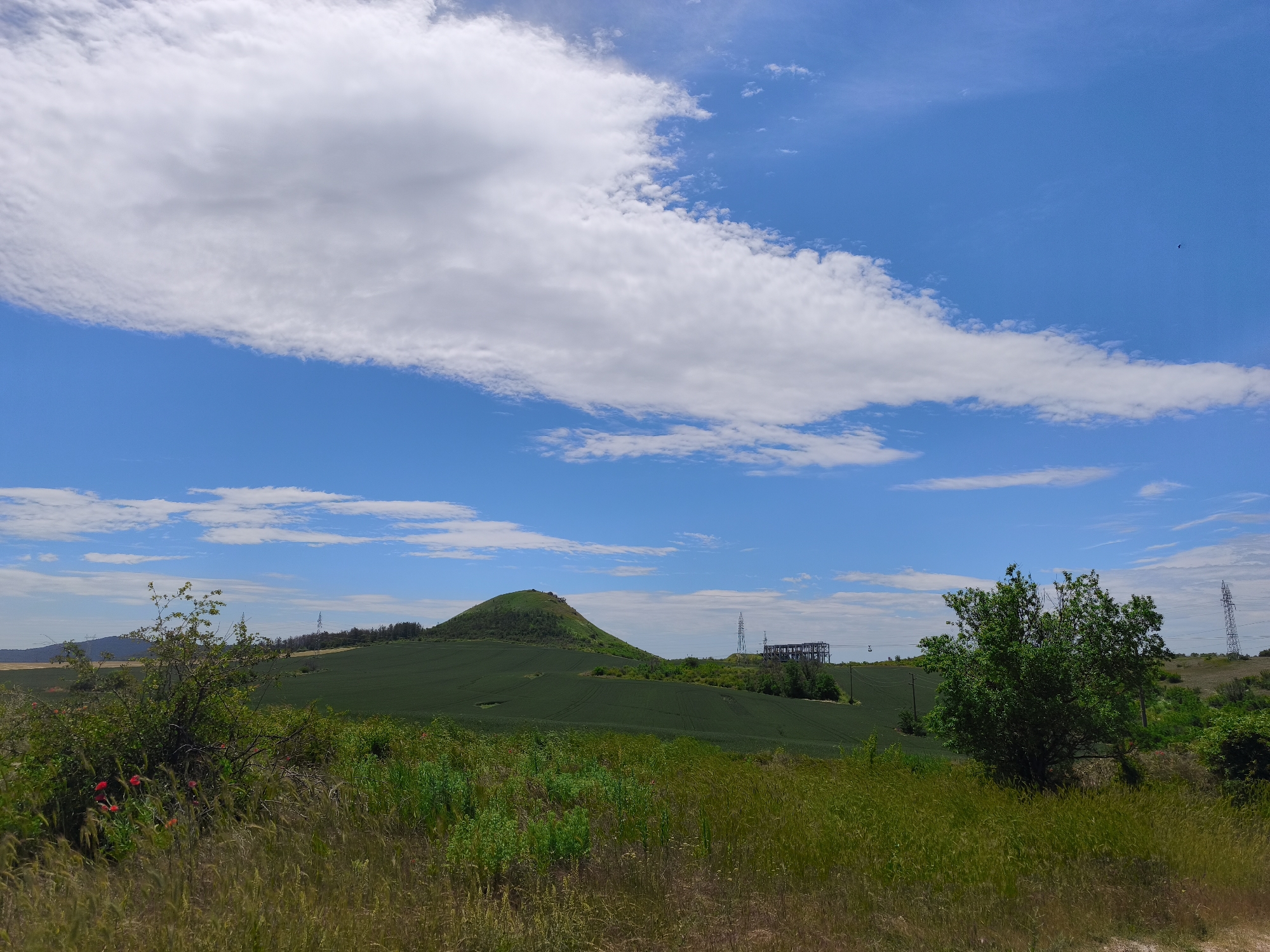 The image shows a rural landscape in Unknown, Unknown. A green hill dominates the midground, surrounded by fields of crops. A structure resembling a power station, including pylons and some type of metal framing, can be seen in the distance near the hill. The foreground is filled with tall grasses and vegetation, including a bush with small red flowers. The sky is blue with scattered white clouds.
