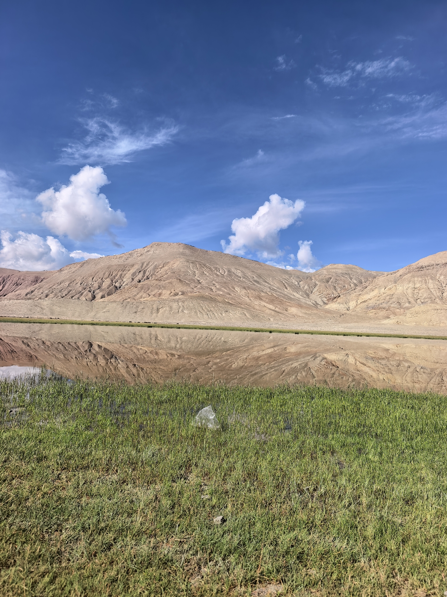 A serene landscape captures a body of water reflecting the rugged, tan-colored mountains that rise majestically in the background. The sky above is a vibrant blue, dotted with fluffy white clouds. In the foreground, lush green grass grows along the edge of the water, with a single piece of clear plastic waste resting on it. The scene appears to be a tranquil natural setting, possibly near the city of Ronggo in India, given the context. There are no people or animals visible in the image.