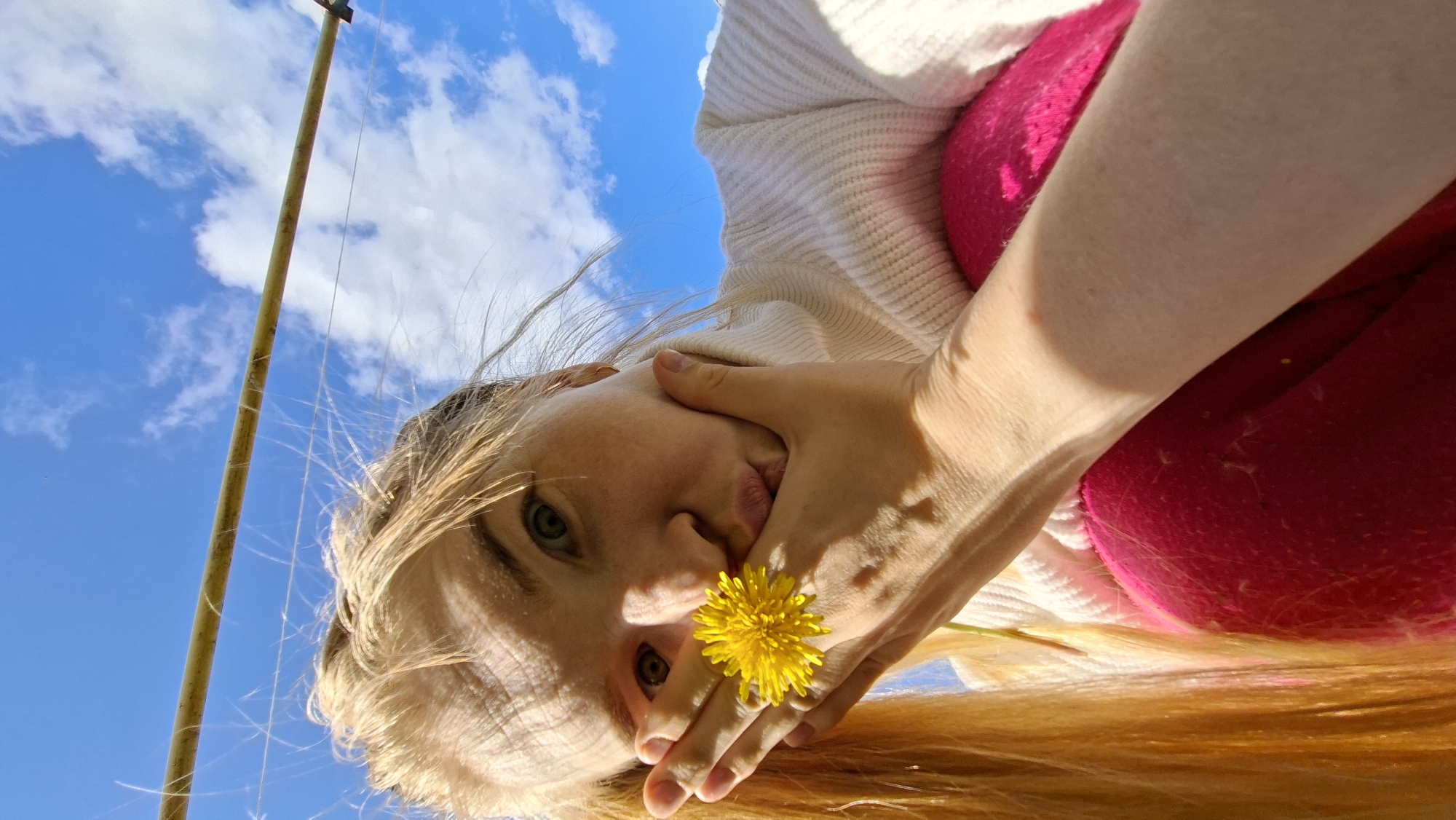 This upward-looking portrait features a young person, likely female, with fair skin, long blonde hair, and light-colored eyes. They are wearing a white knitted sweater over a vibrant pink garment. The subject is holding a bright yellow dandelion flower delicately between their fingers, positioned near their mouth. Their head is tilted, giving the impression they are looking down into the camera from above.
The background is a clear, bright blue sky with scattered white cumulus clouds, indicating a sunny day. A thin, yellowish pole or stick extends diagonally across the upper left part of the frame, suggesting an outdoor setting. Fine, wispy white strands, possibly dandelion seeds or light plant debris, are visible in the air, particularly near the pole and the subject's hair. The natural daylight brightly illuminates the scene. The overall atmosphere is calm and contemplative. This outdoor scene is situated in Большой Букор, Russia. No text is visible in the image.