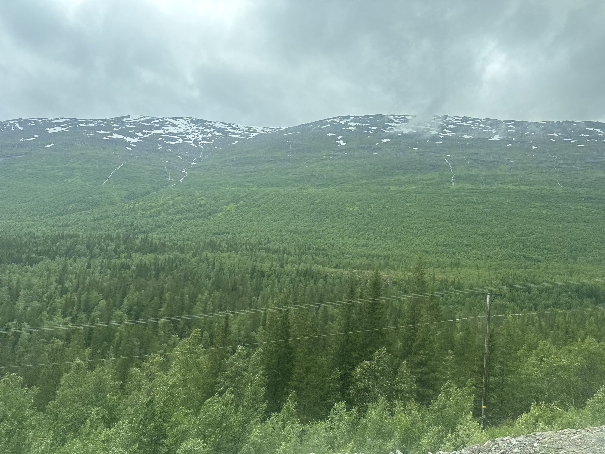 The image depicts a lush, green forested hillside leading up to a snow-capped mountain range under a cloudy sky. The foreground features a dense forest with varying shades of green, indicating a mix of tree types. Several power lines stretch horizontally across the lower part of the image, supported by a visible wooden utility pole on the right. The midground shows a vast expanse of trees, forming an undulating carpet of green that climbs the mountain. The upper portion of the mountain is rugged and rocky, with patches of snow scattered across its surface. Streaks of water or snowmelt run down the mountainside in places, creating white lines against the darker rock and vegetation. The sky is overcast with heavy, gray clouds, suggesting a cool or possibly damp day. The overall impression is one of a wild, natural landscape, possibly in a mountainous region during a transitional season like late spring or early summer when snow still lingers at higher elevations. There is no visible text in the image.