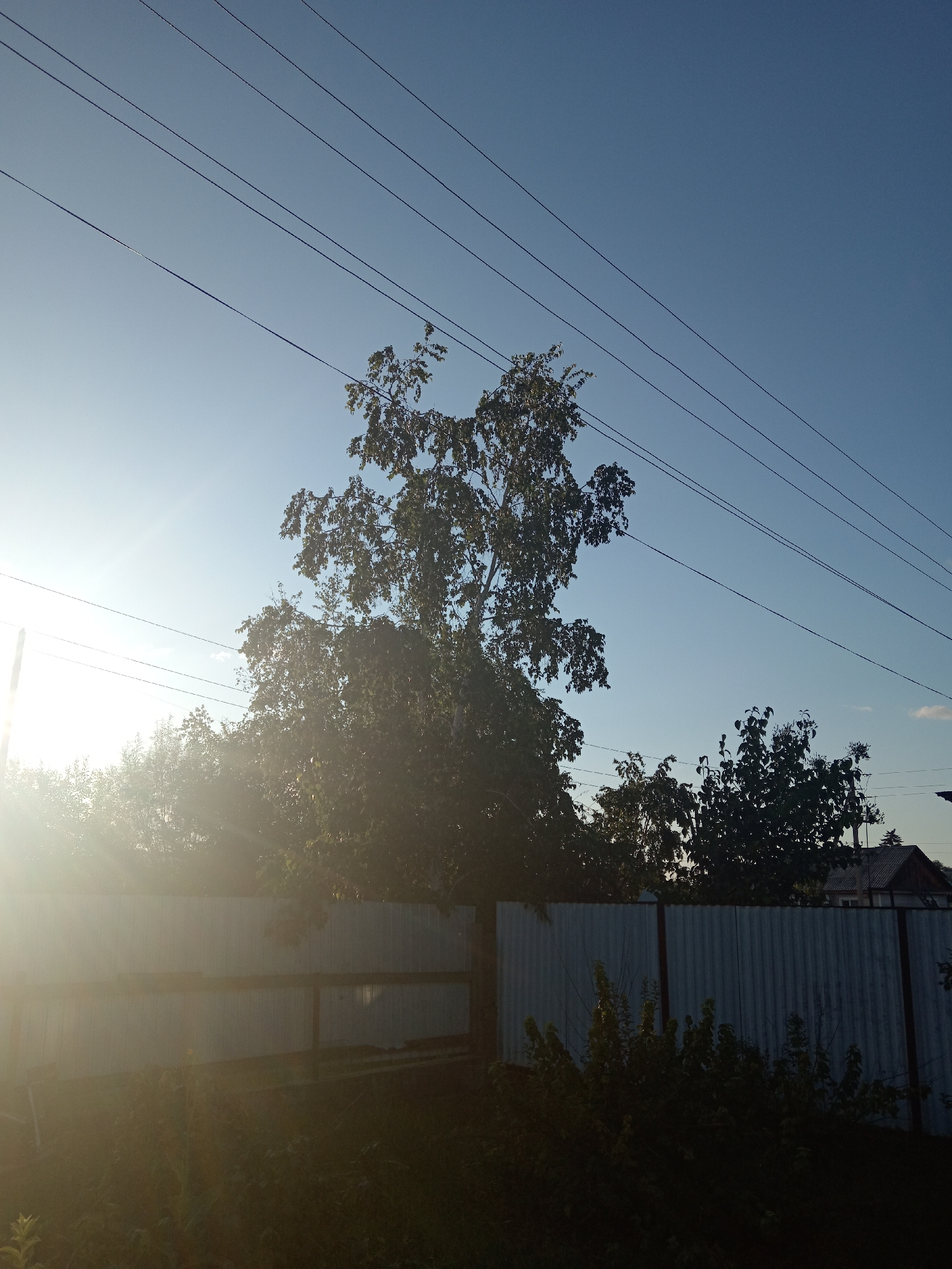 The image depicts a rural scene under a clear blue sky, likely in Novopokrovka, Russia. The sun is low on the horizon, casting a bright glare from the left side of the frame and creating lens flares. In the foreground, a corrugated metal fence runs horizontally across the image. Behind the fence, several trees are visible, with dense foliage. Power lines are strung across the upper portion of the sky. The overall impression is one of a quiet, perhaps early morning or late afternoon, setting in a village or suburban area. No people or animals are present.
